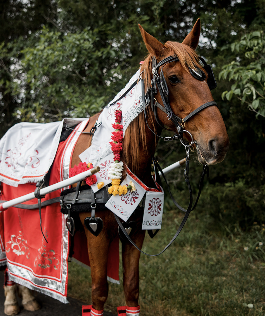 Screen Shot 2024-09-26 at 2.40.53 PM.png