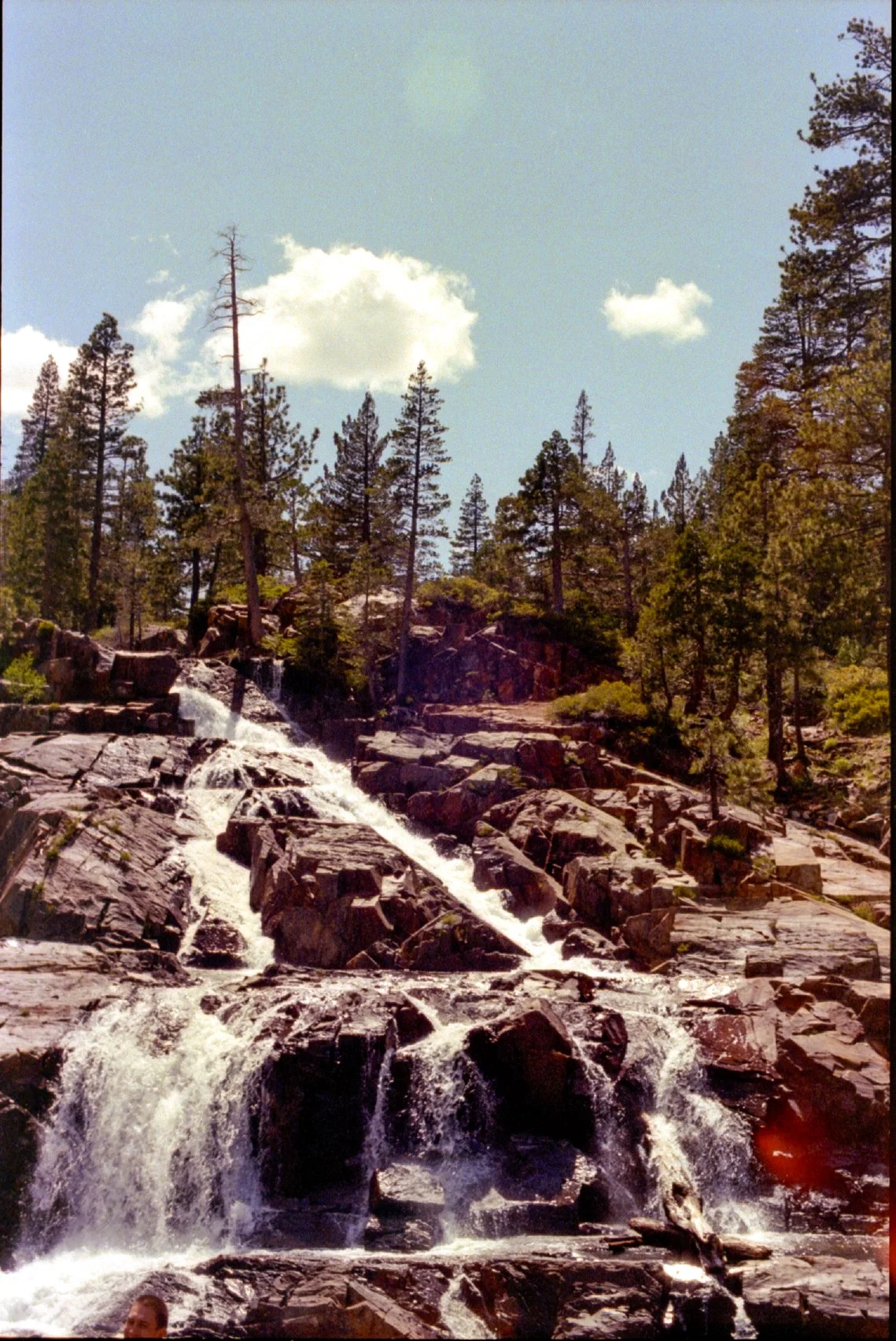 minolta_x700_kodak_gold_400_065.jpg