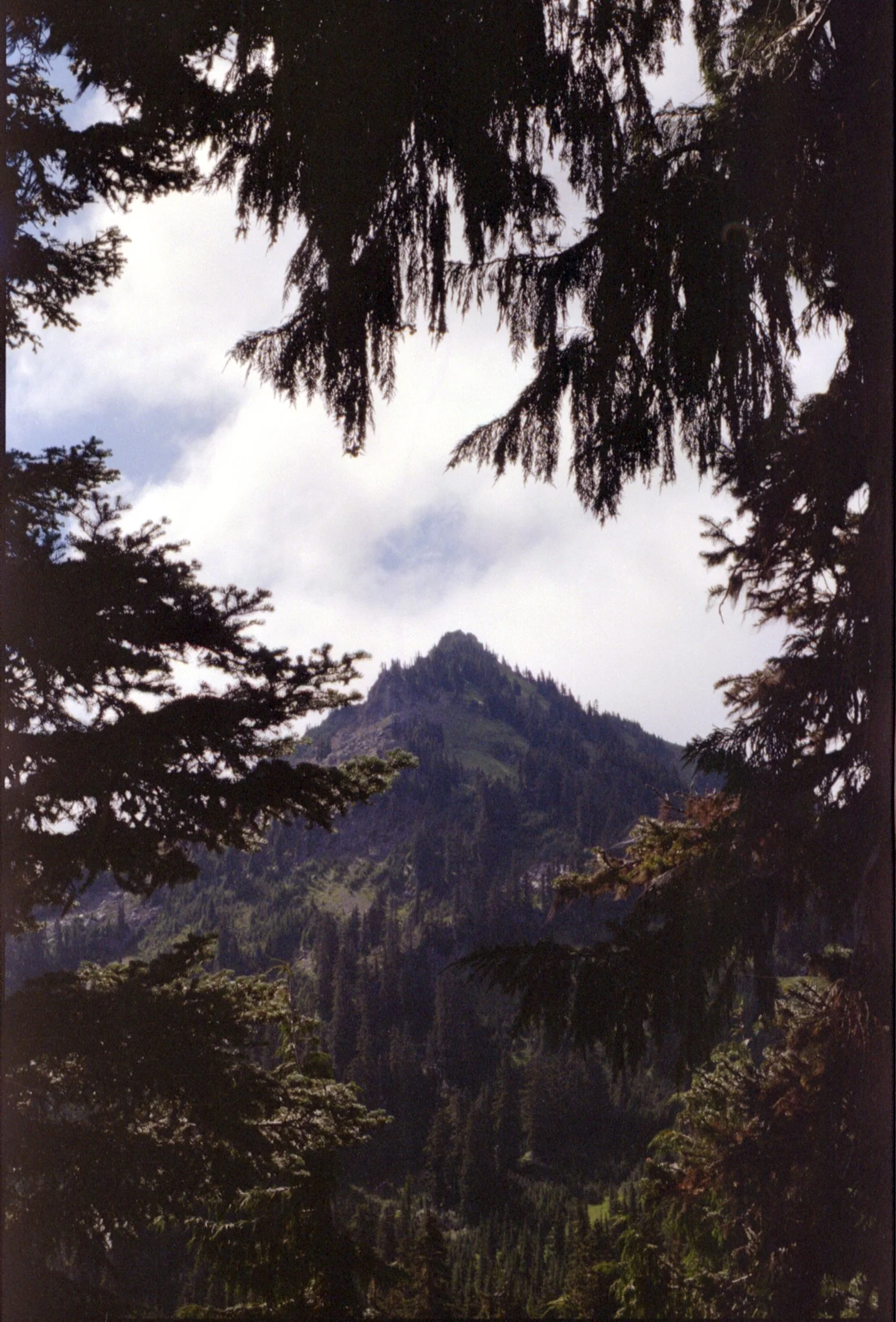 minolta_x700_kodak_gold_200_115.jpg
