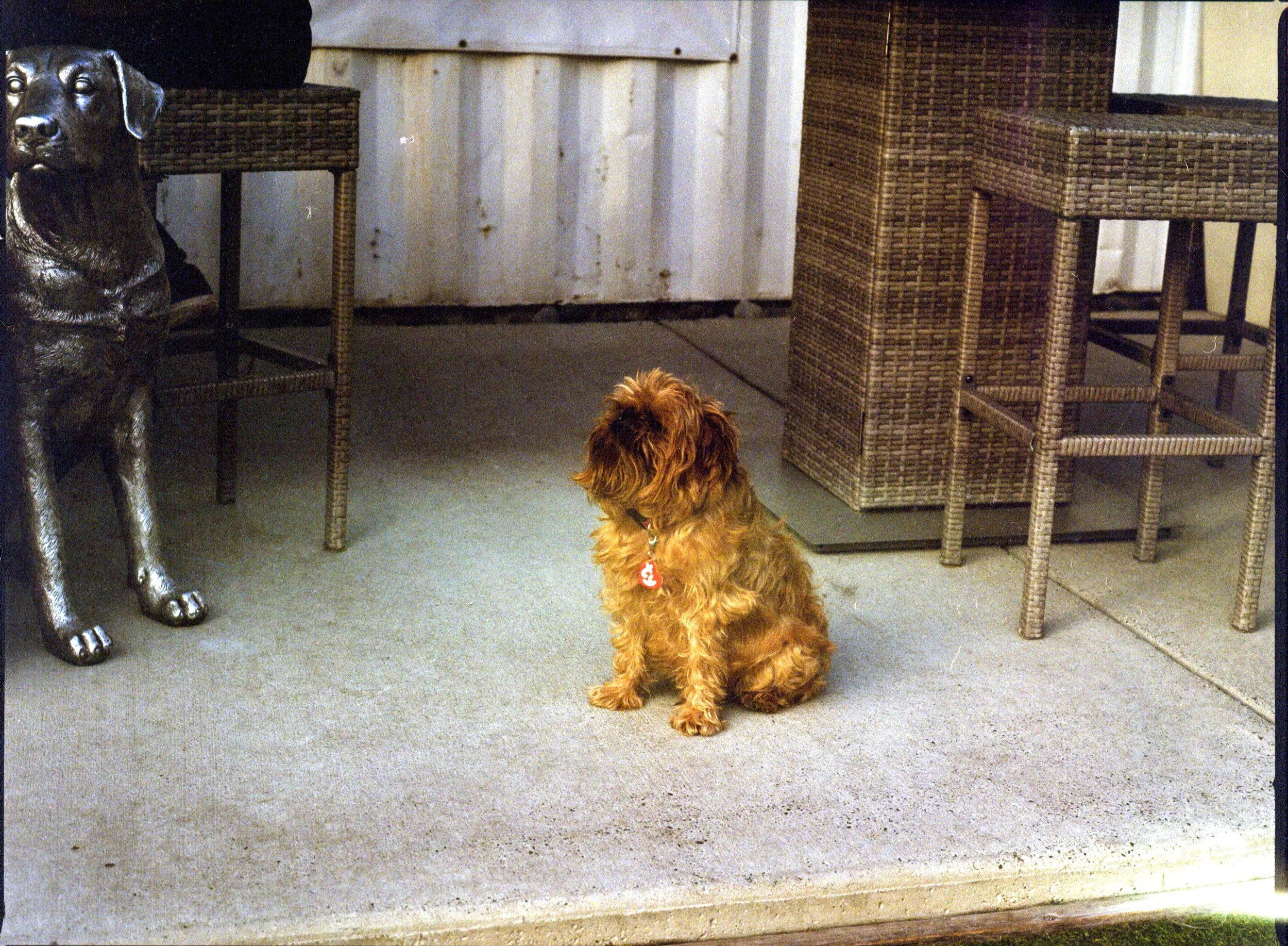 mamiya_rb67_645_kodak_gold_200_107.jpg