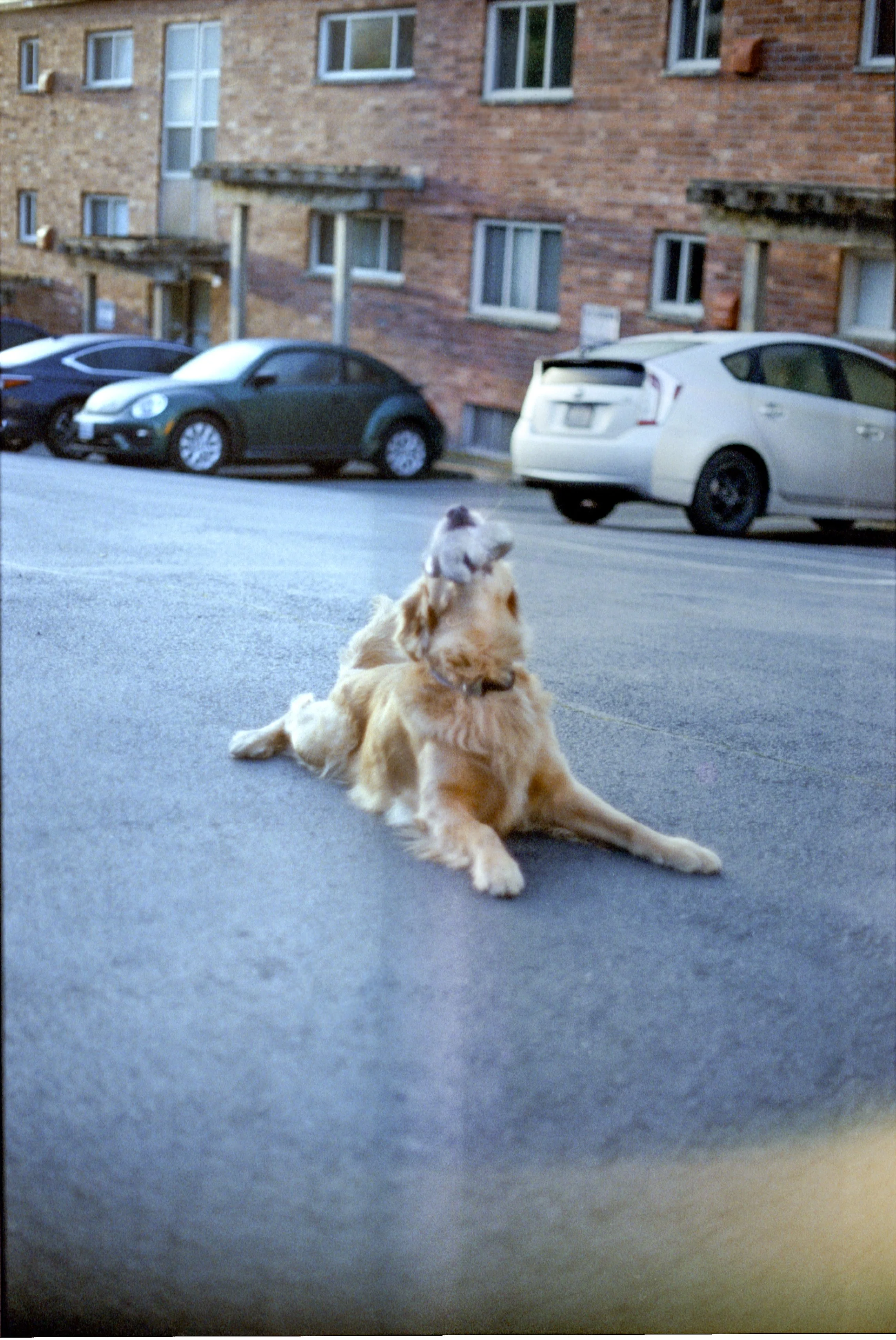 minolta_x700_street_candy_seattle_11.jpg