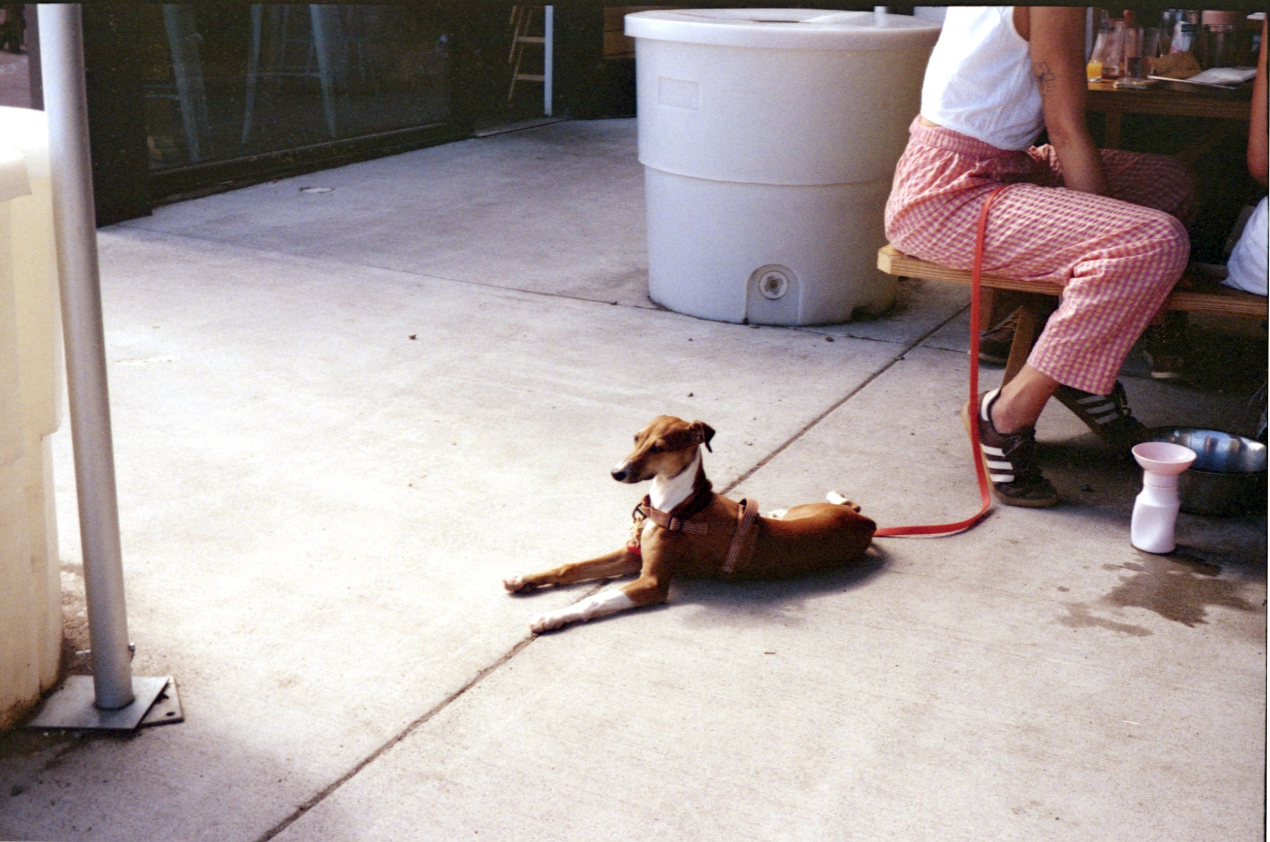 minolta_hi-matic_7s_kodak_gold_200_006.jpg