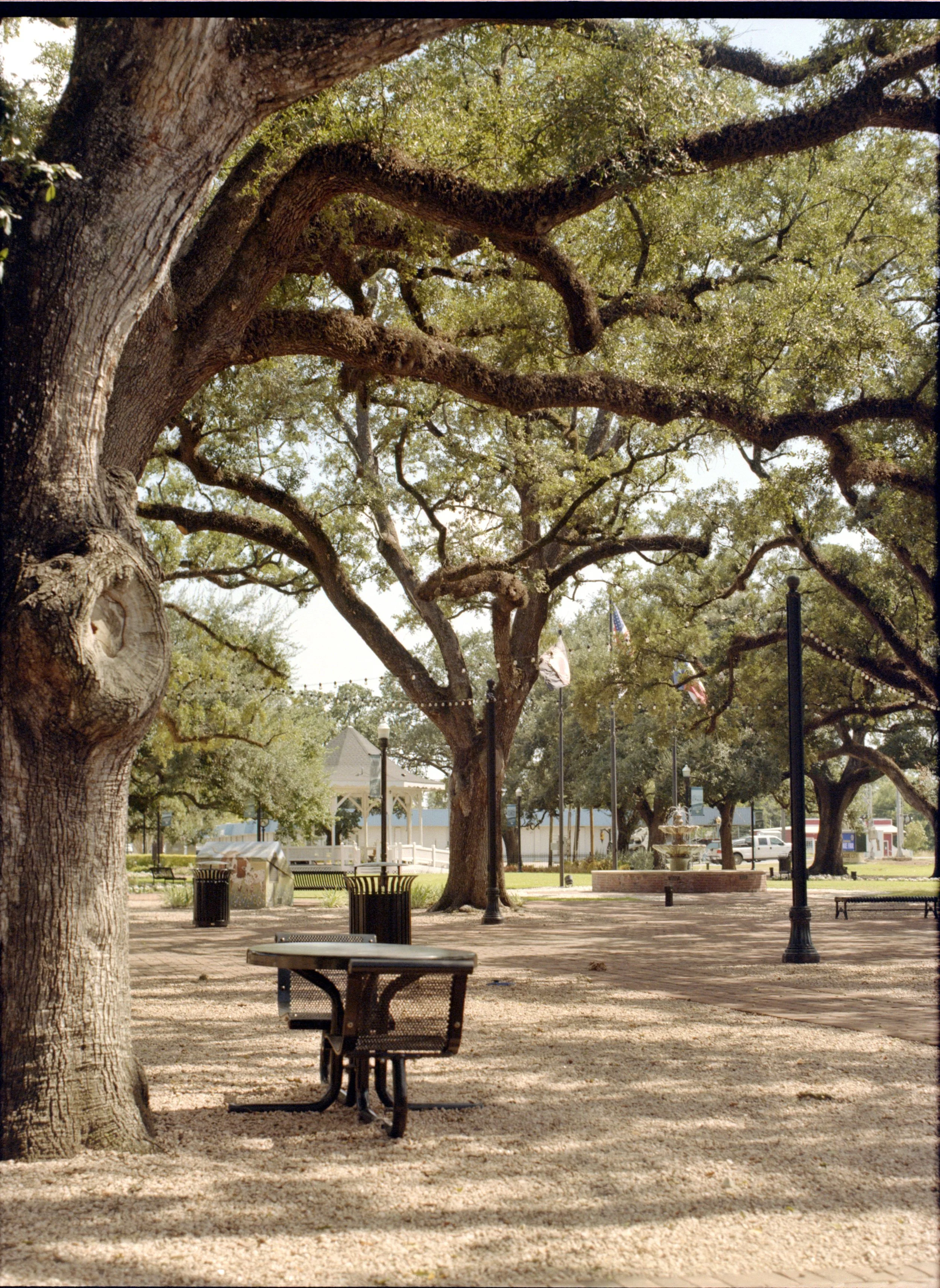 mamiya_rb67_645_kodak_gold_200_038.jpg