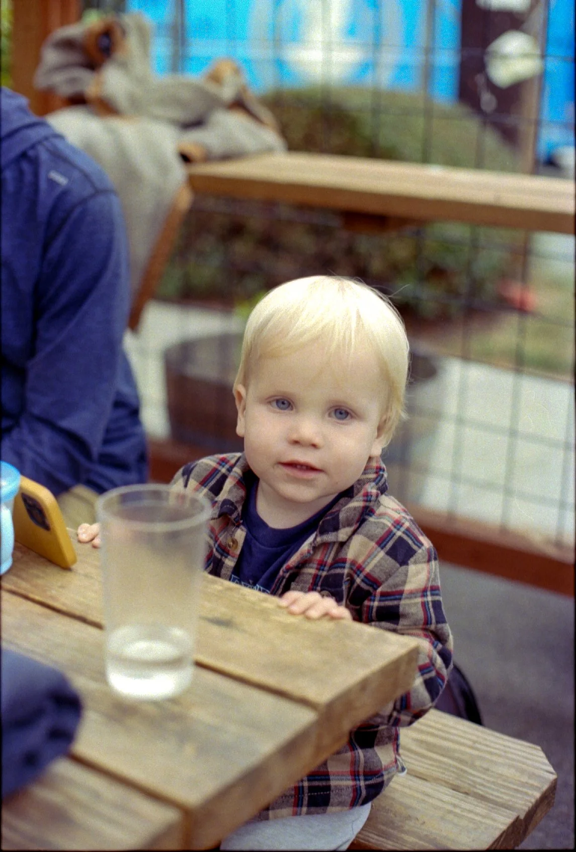 minolta_x700_kodak_gold_400_055.jpg