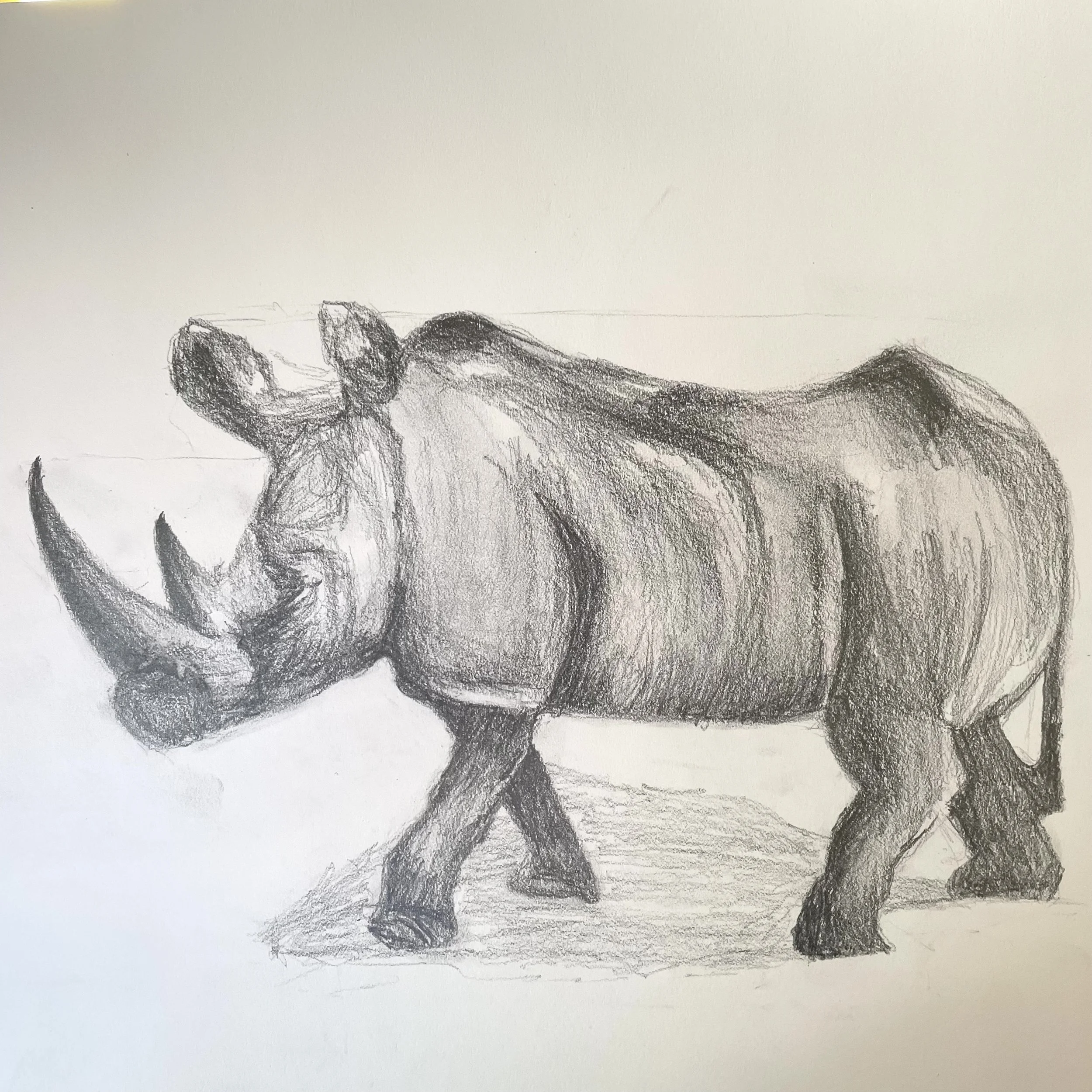 Pencil sketch of Rhinoceros sculpture by artist Surabhi Pandey