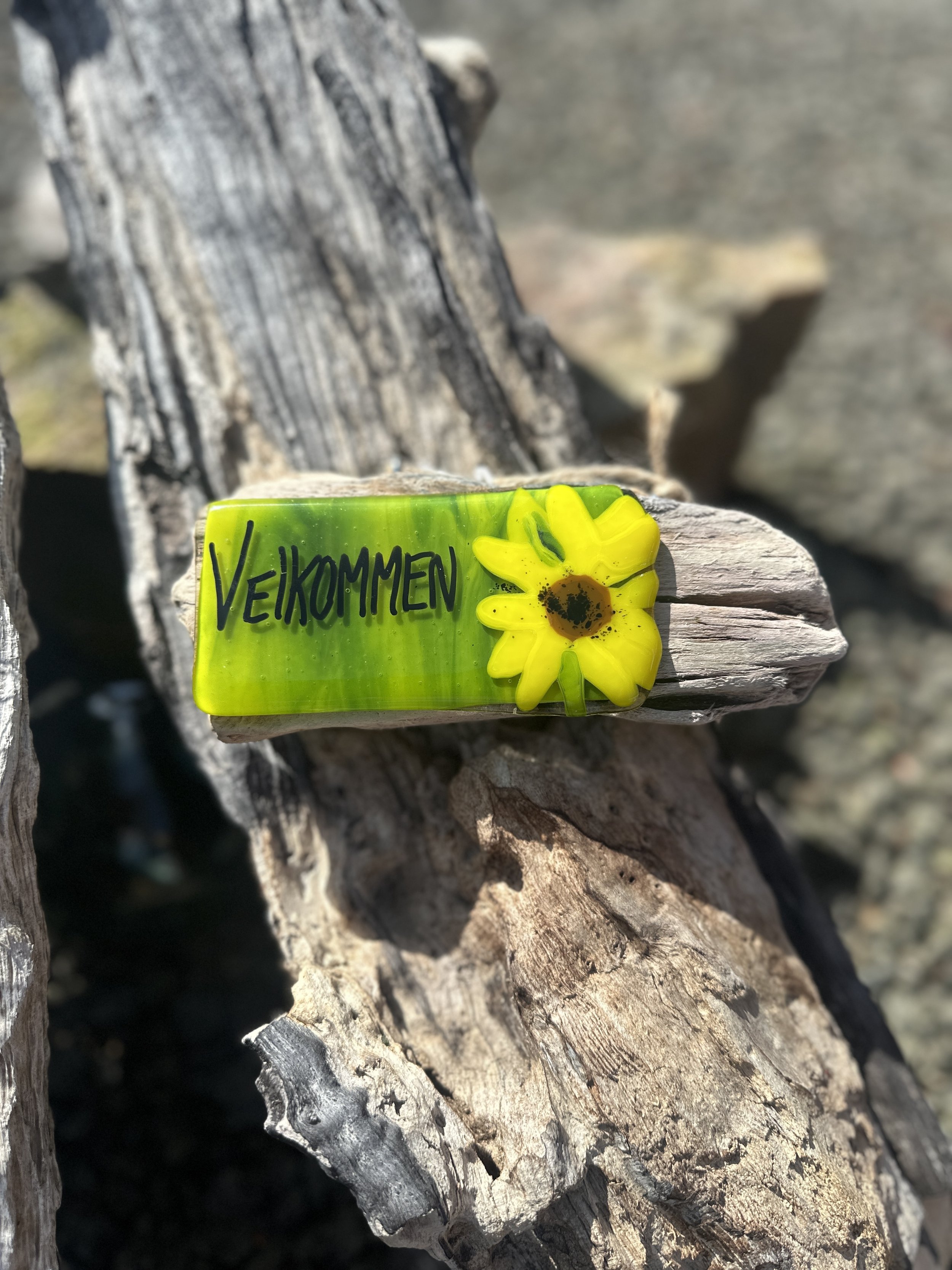 “Solsikke velkommen”