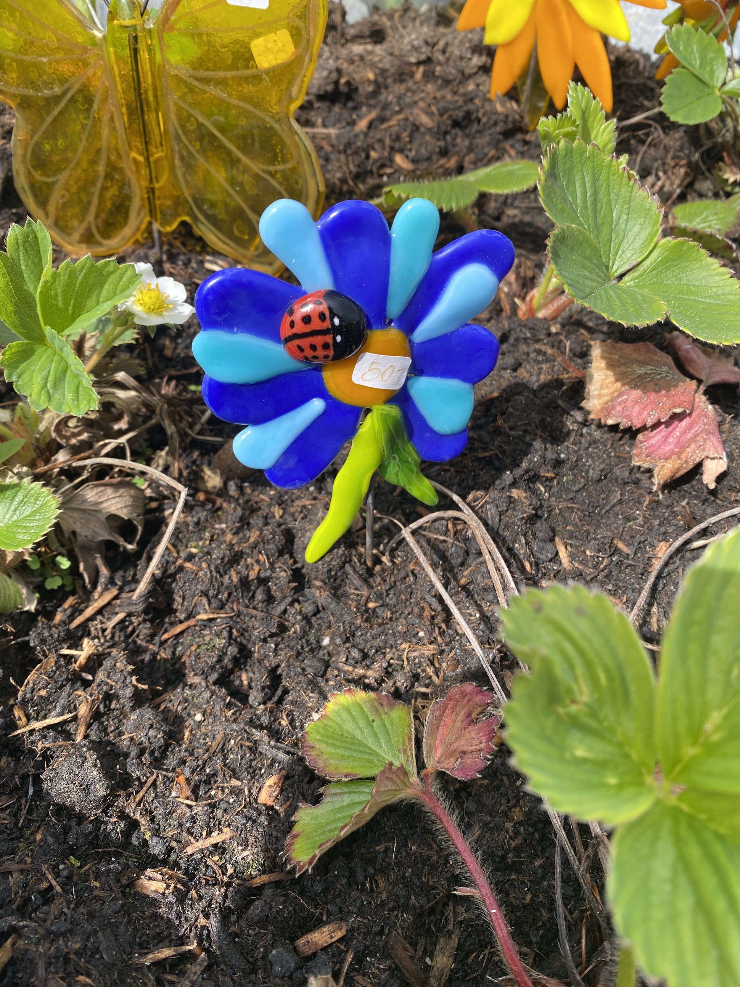 “Blå blomst med mariehøne”