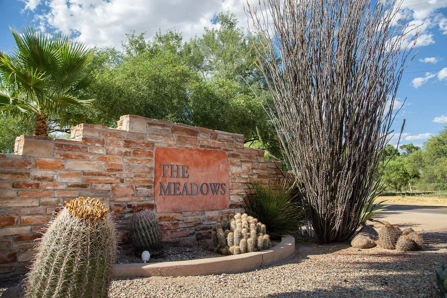 Meadows Behavioral Healthcare Training
