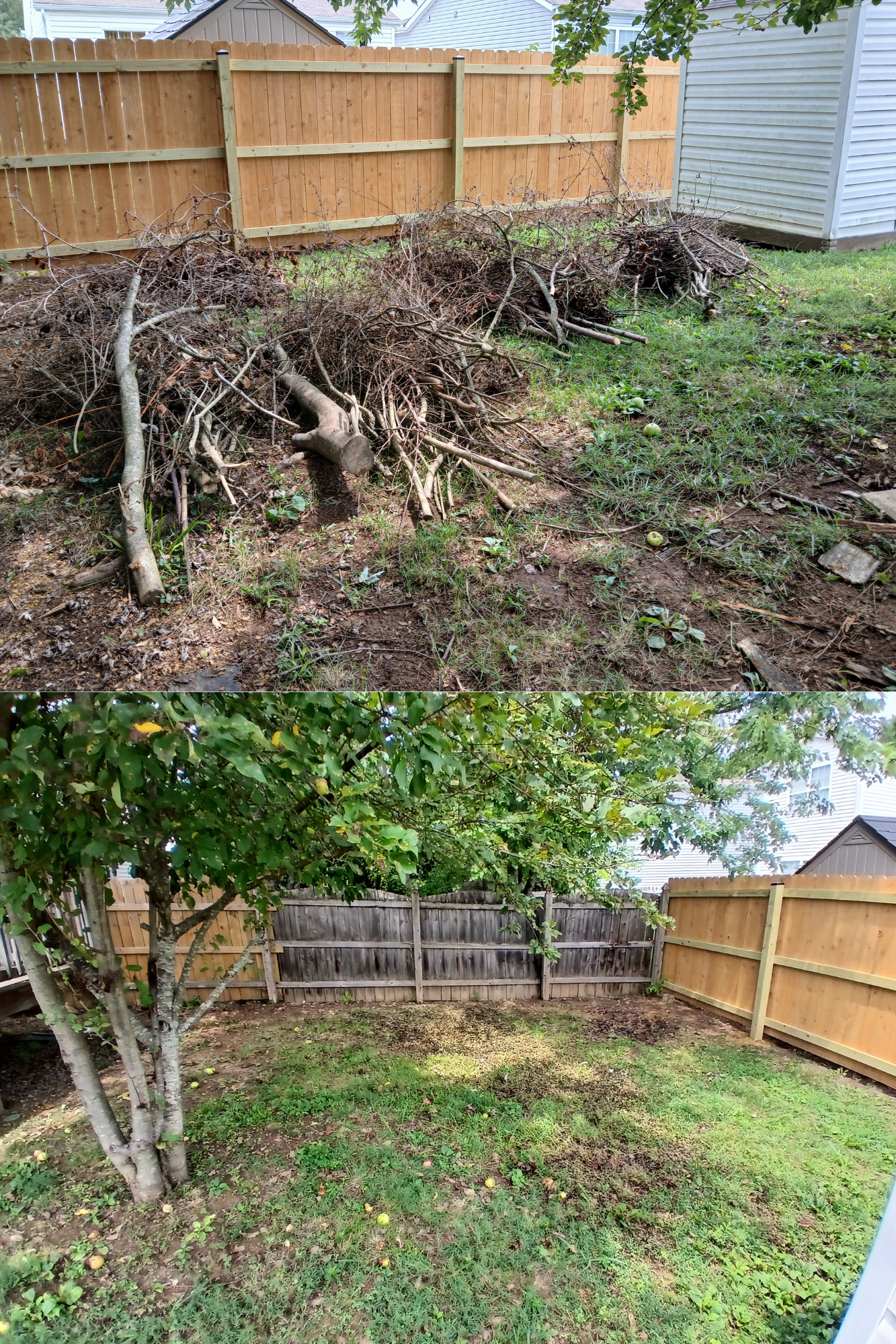 Untitled design (1).png