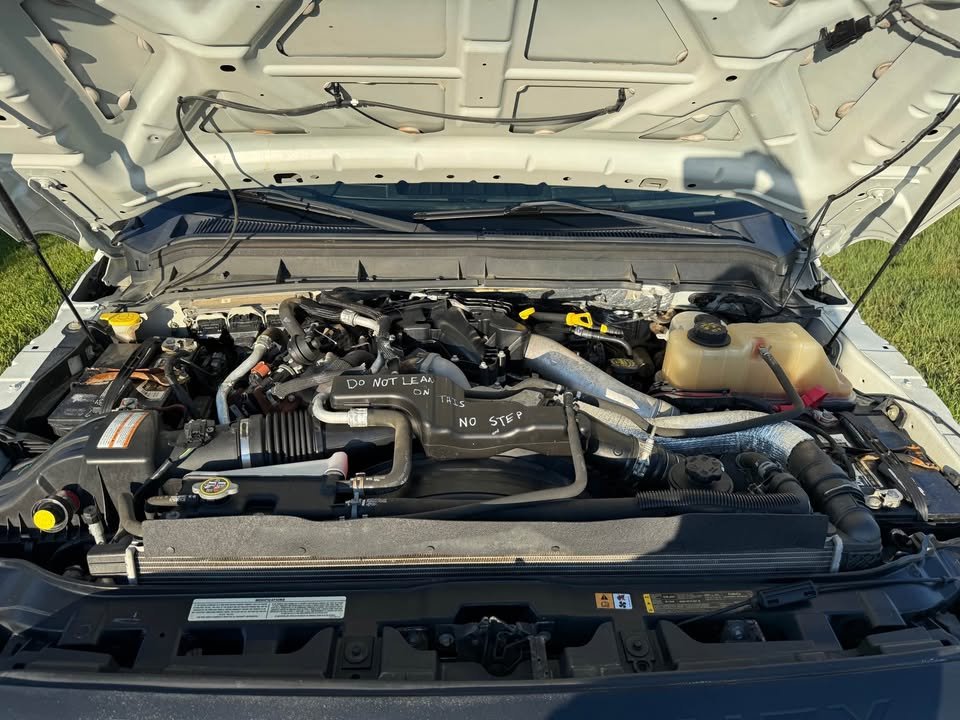 727919169_2839839453030188_2481804288756305277_n.jpg