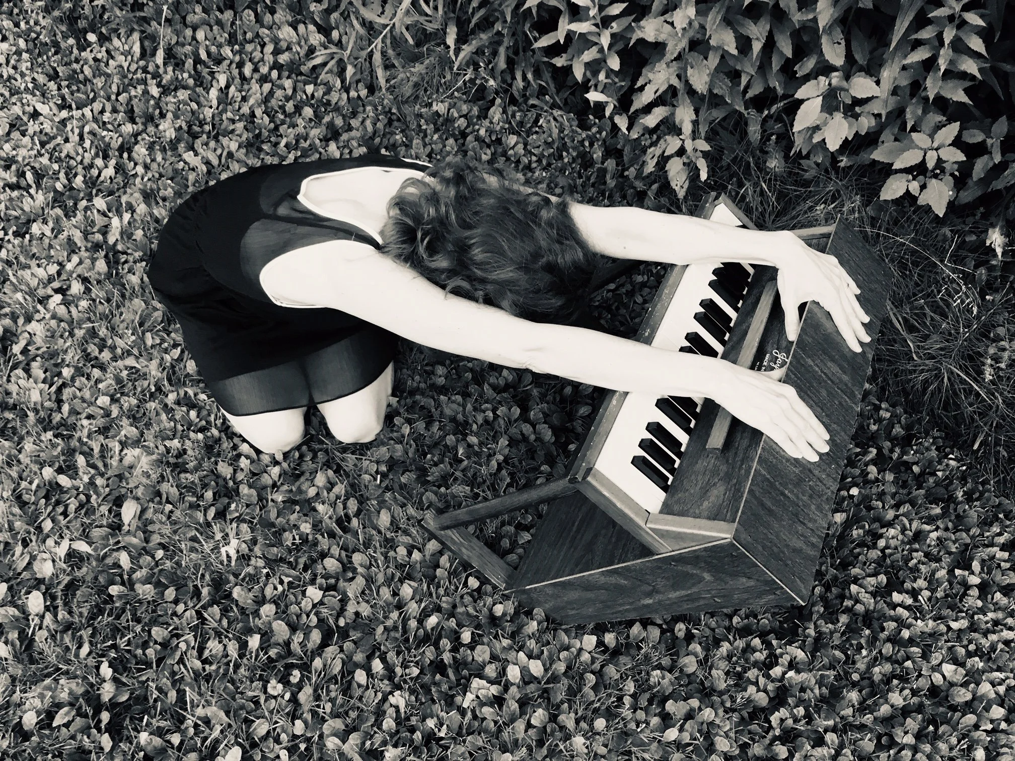 DIORAMA Promo Photo July2019.jpg