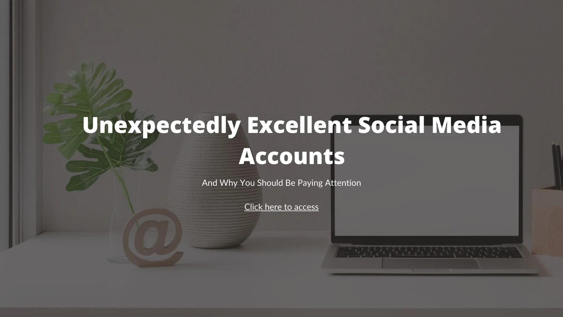 Unexpectedly Excellent Social Accounts.jpg