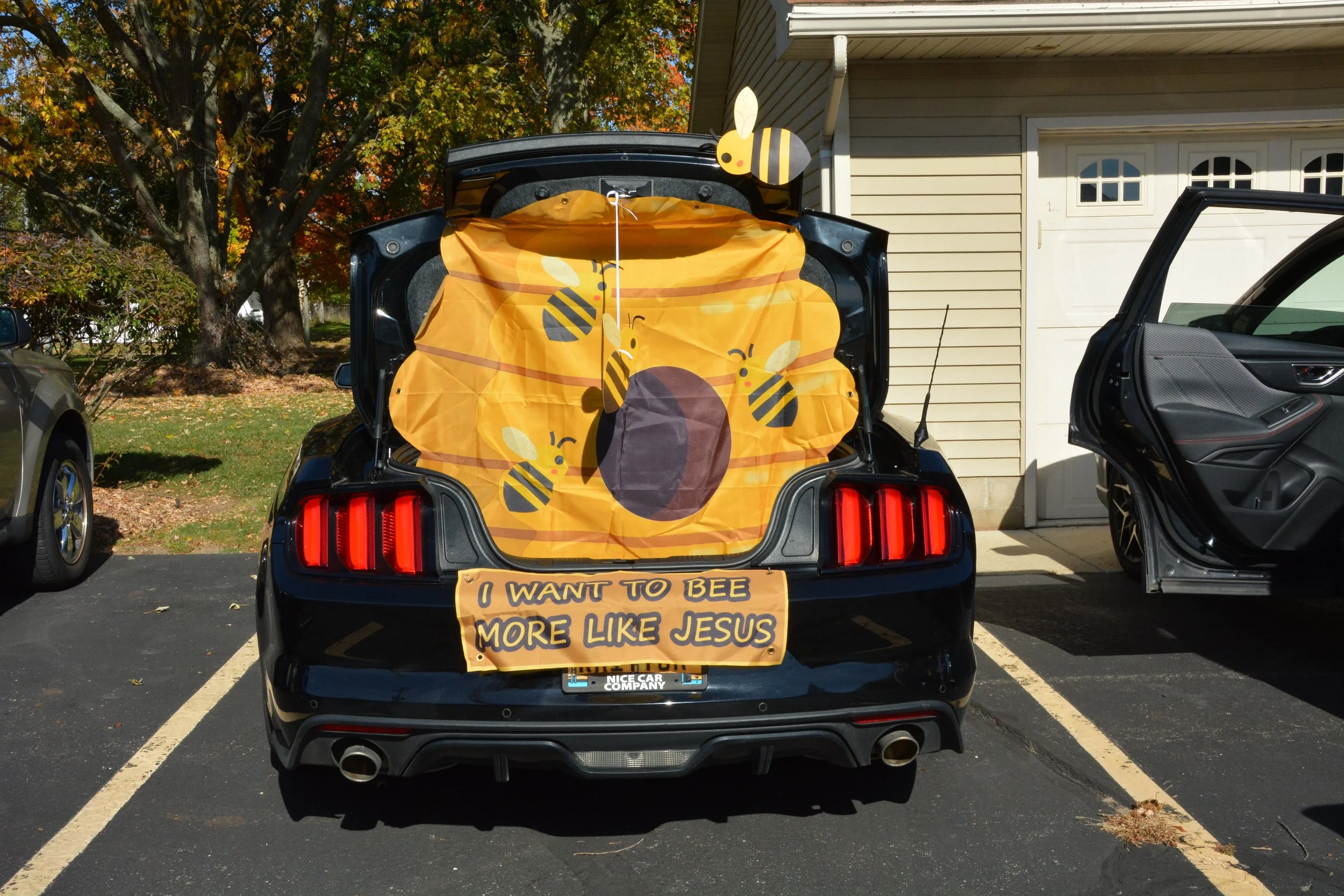 DSC_0371.JPG
