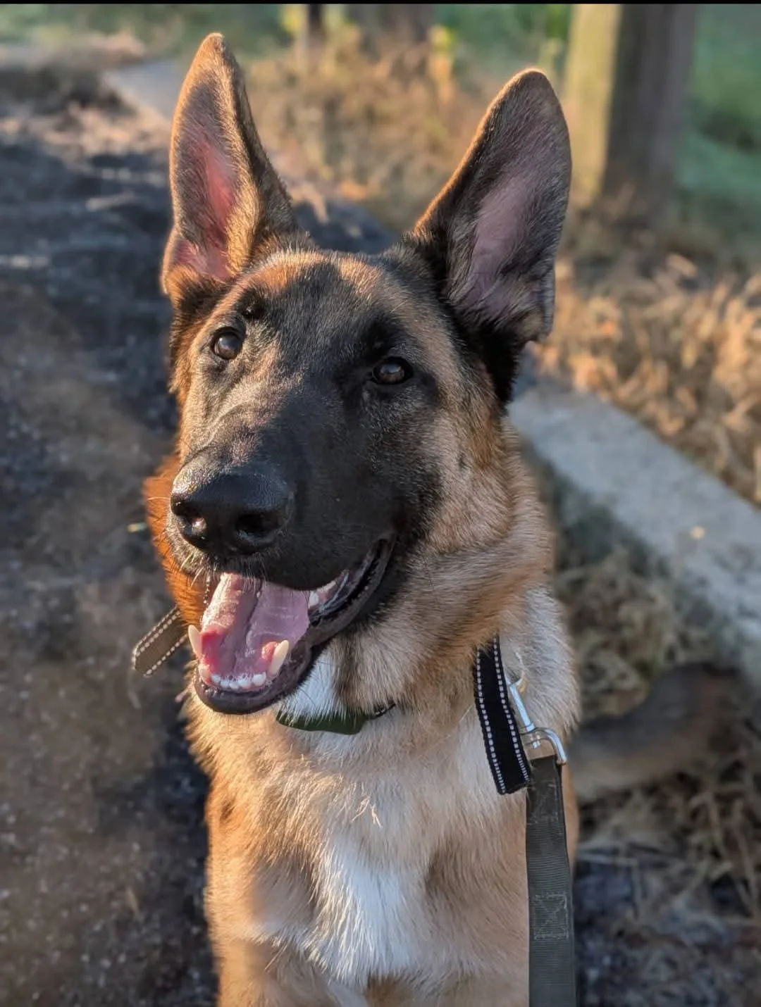 FB_IMG_1767245229331 (1).jpg