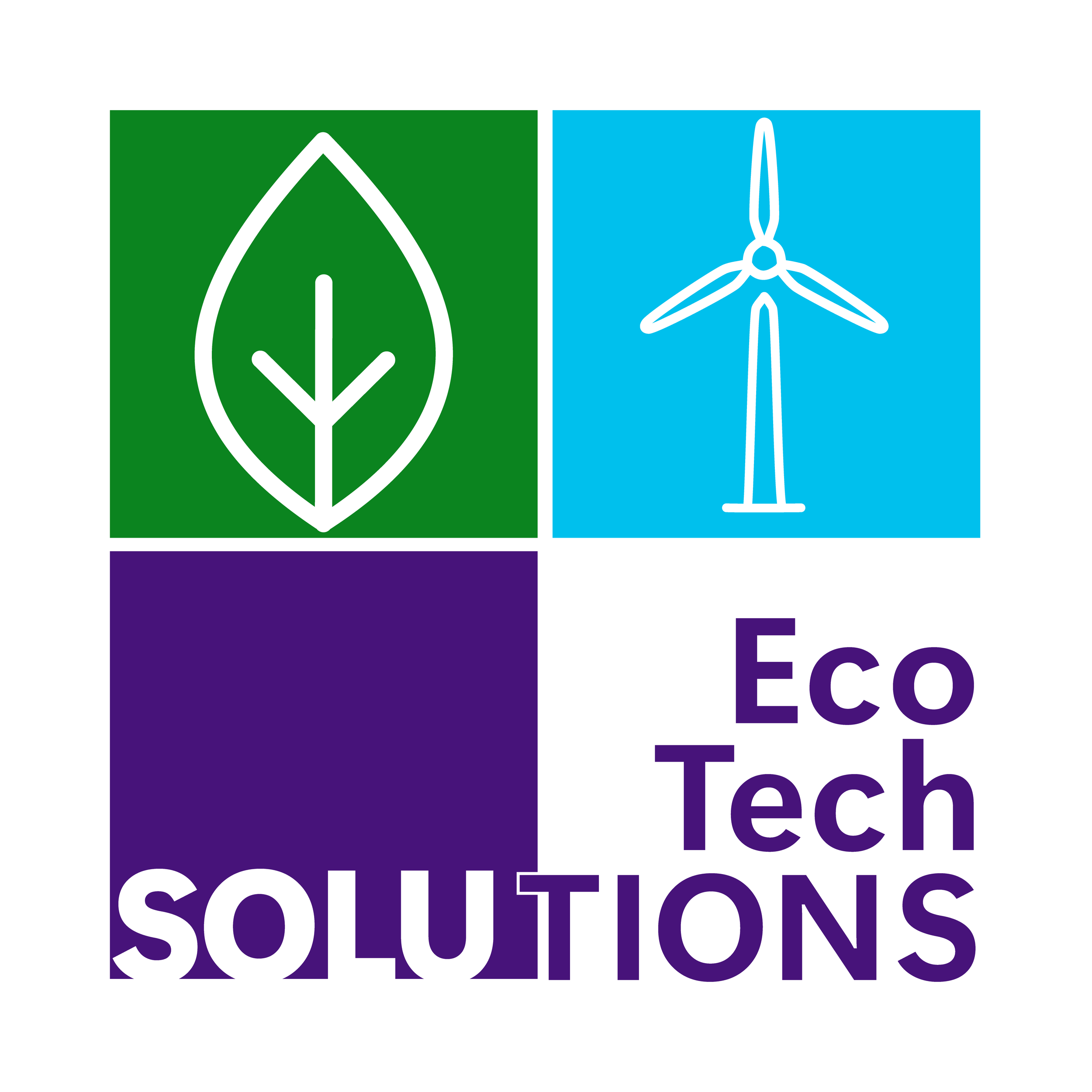 Day 11
EcoTech Solutions
a pioneering company specializing in sustainable energy solutions and environmentally friendly technologies.
Brand Values:
Innovation, Sustainability, and Reliability