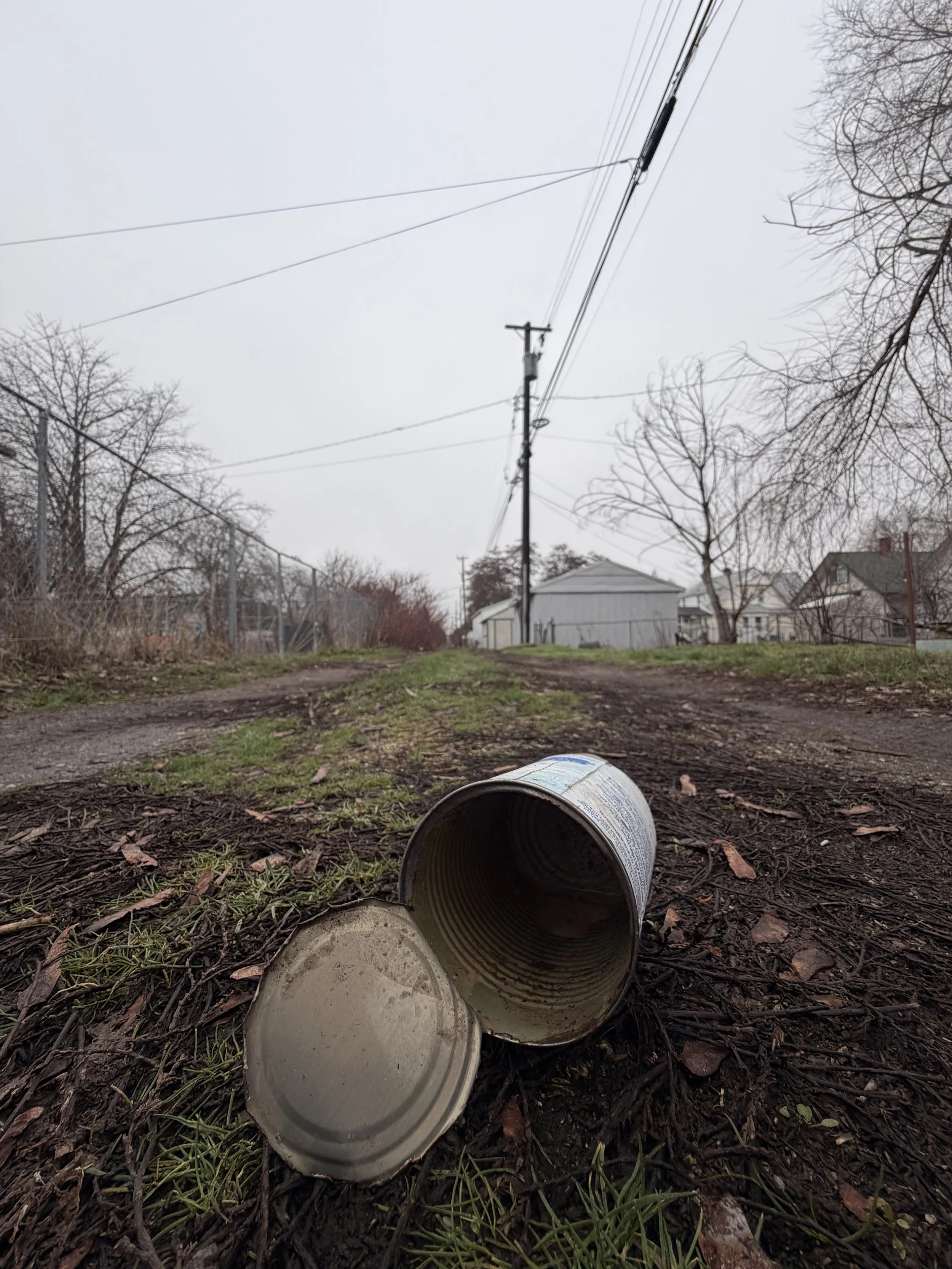 Living with Joy &amp; Trauma