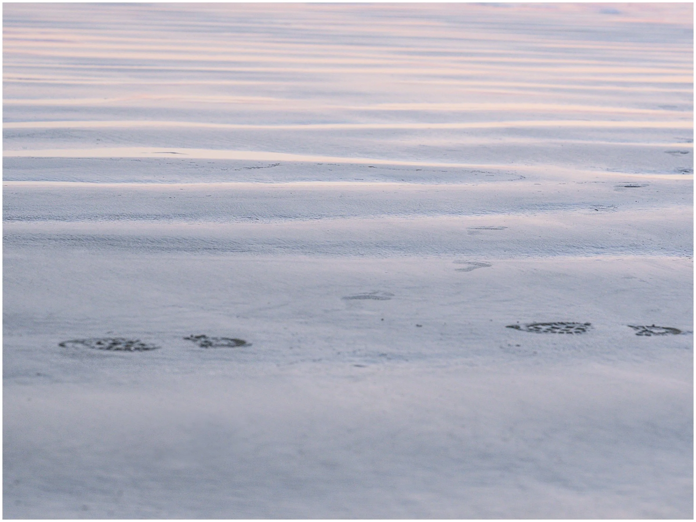 Tofino 6 page 4x3-2-4.jpg