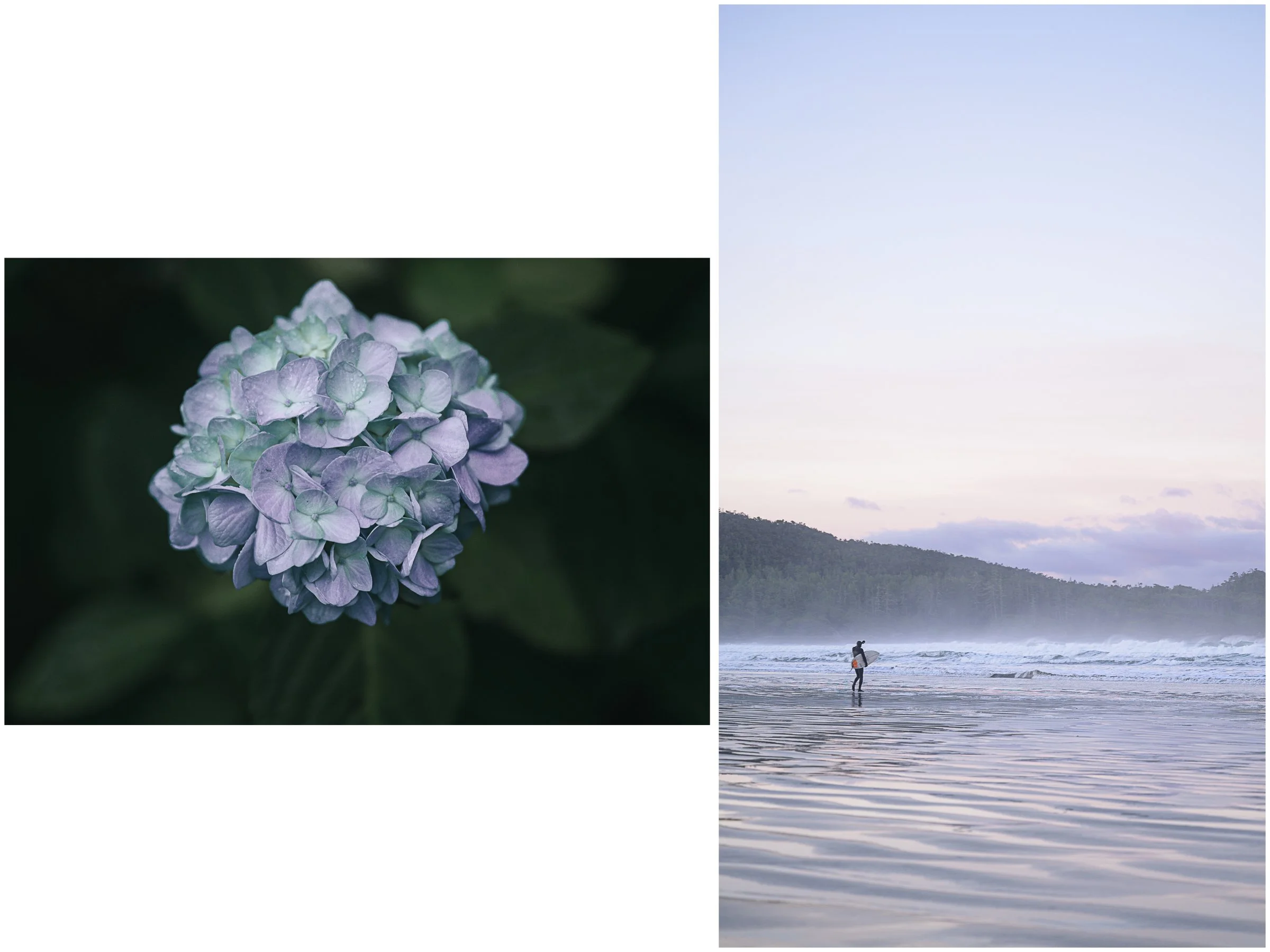 Tofino 6 page 4x3-2-5.jpg