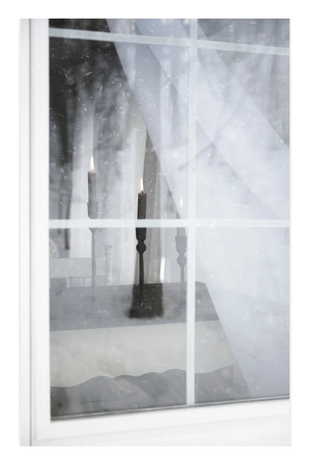 Quiet Note January-2026