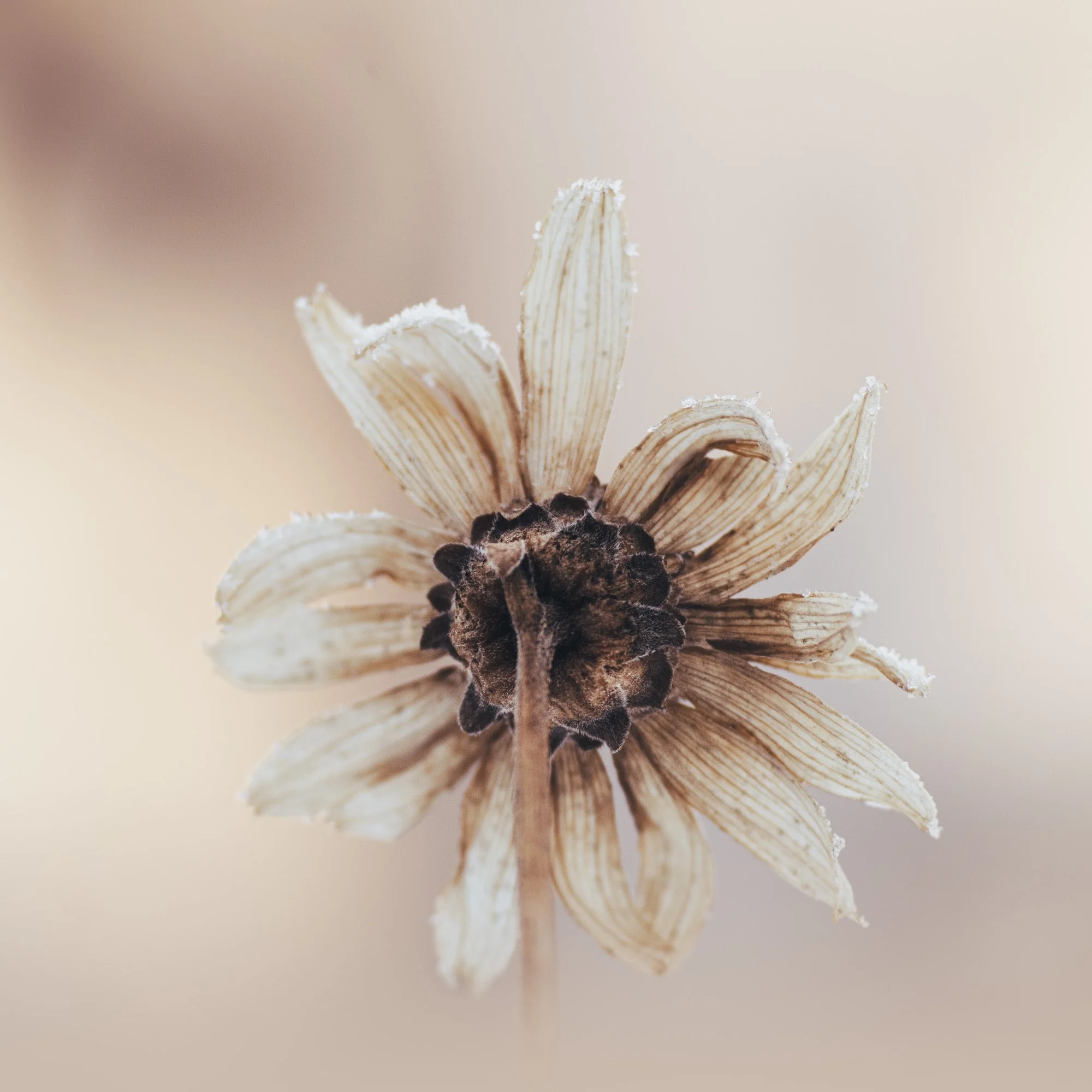 Quiet Note February-2026 