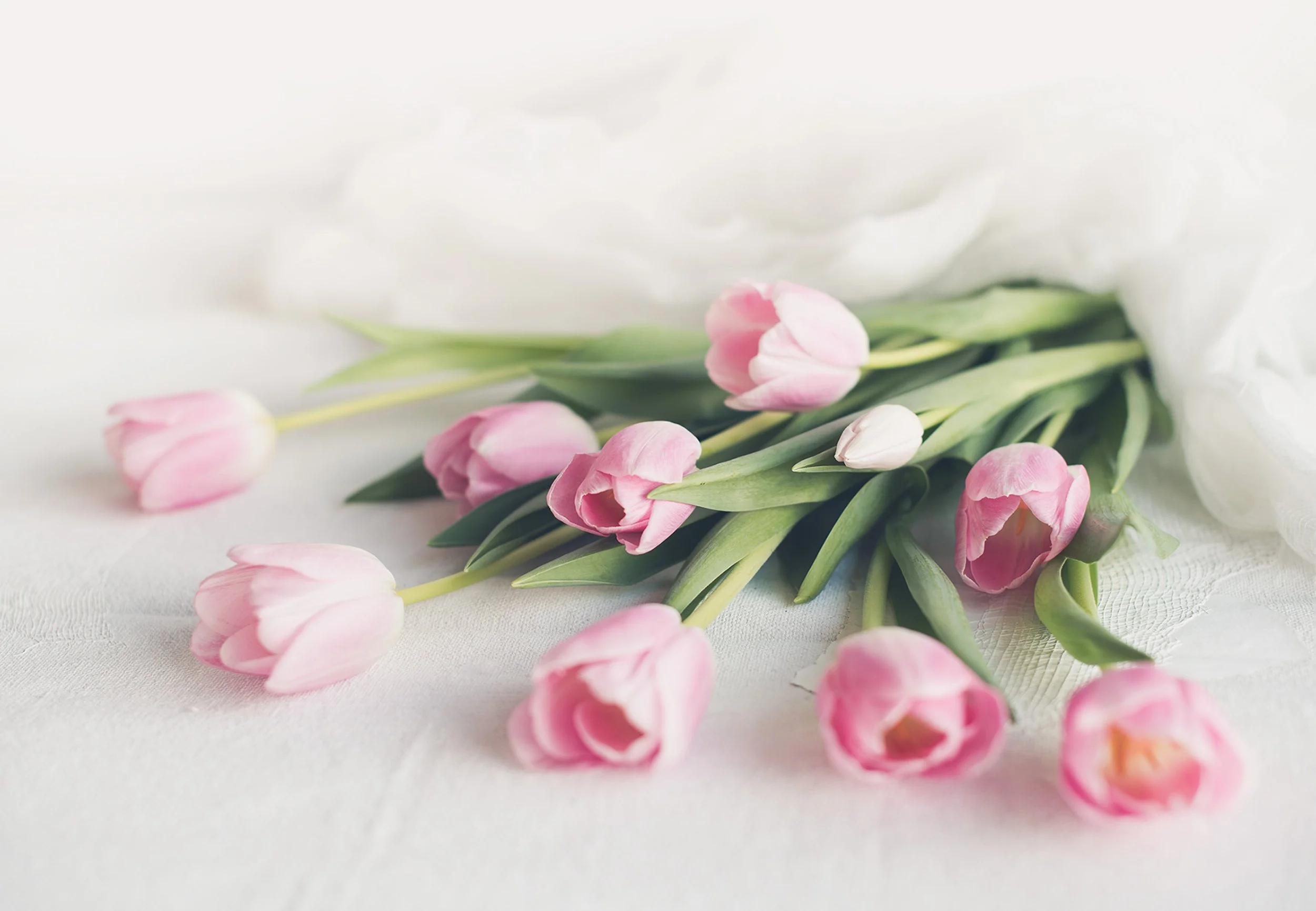 Quiet Note March-2026 