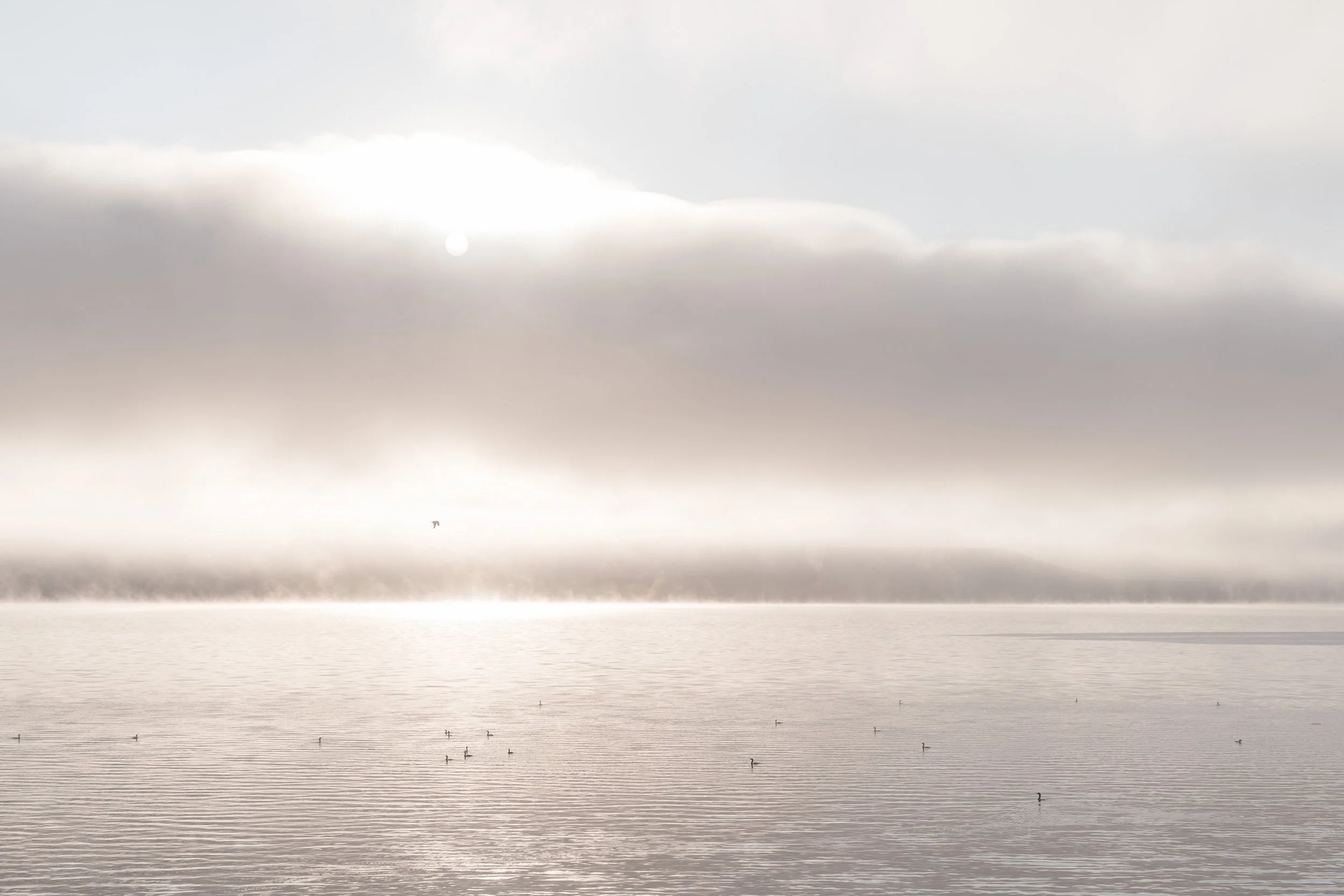 Quiet Note April-2026 