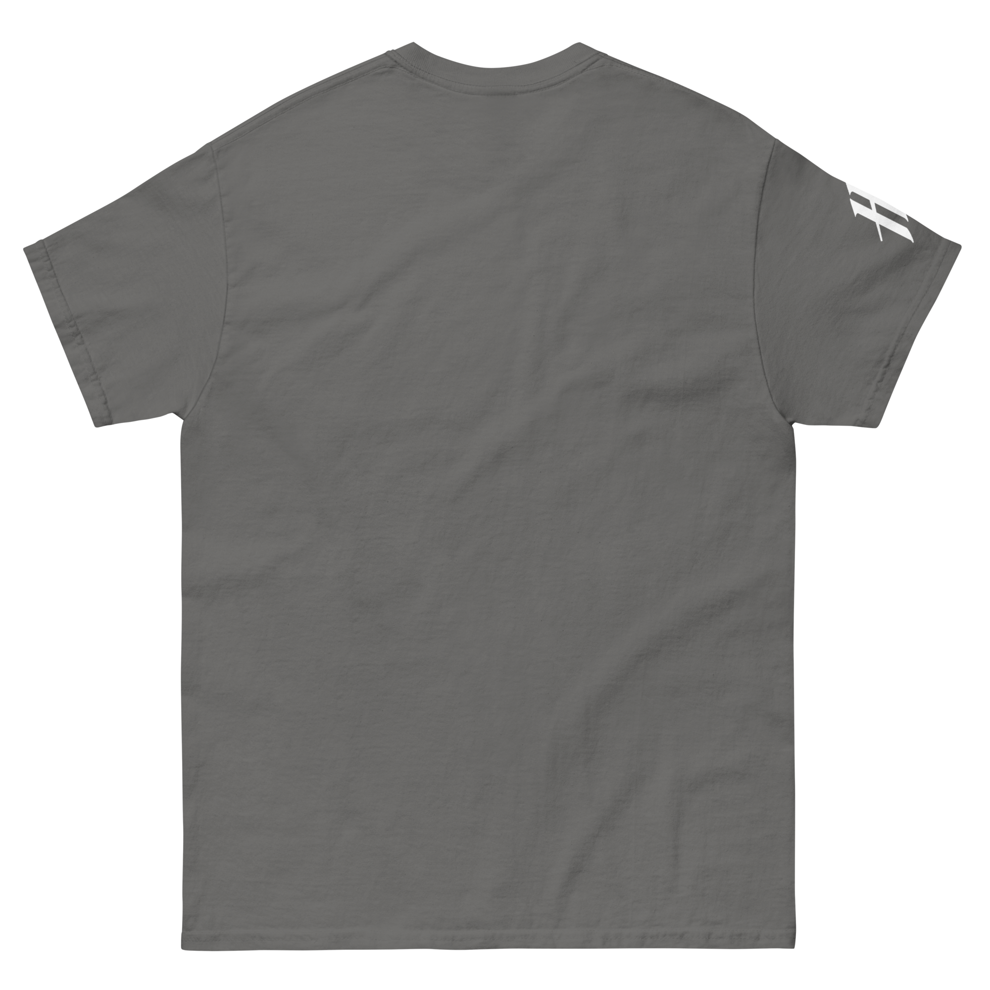 unisex-classic-tee-charcoal-back-66bd0e9d42bb4.png
