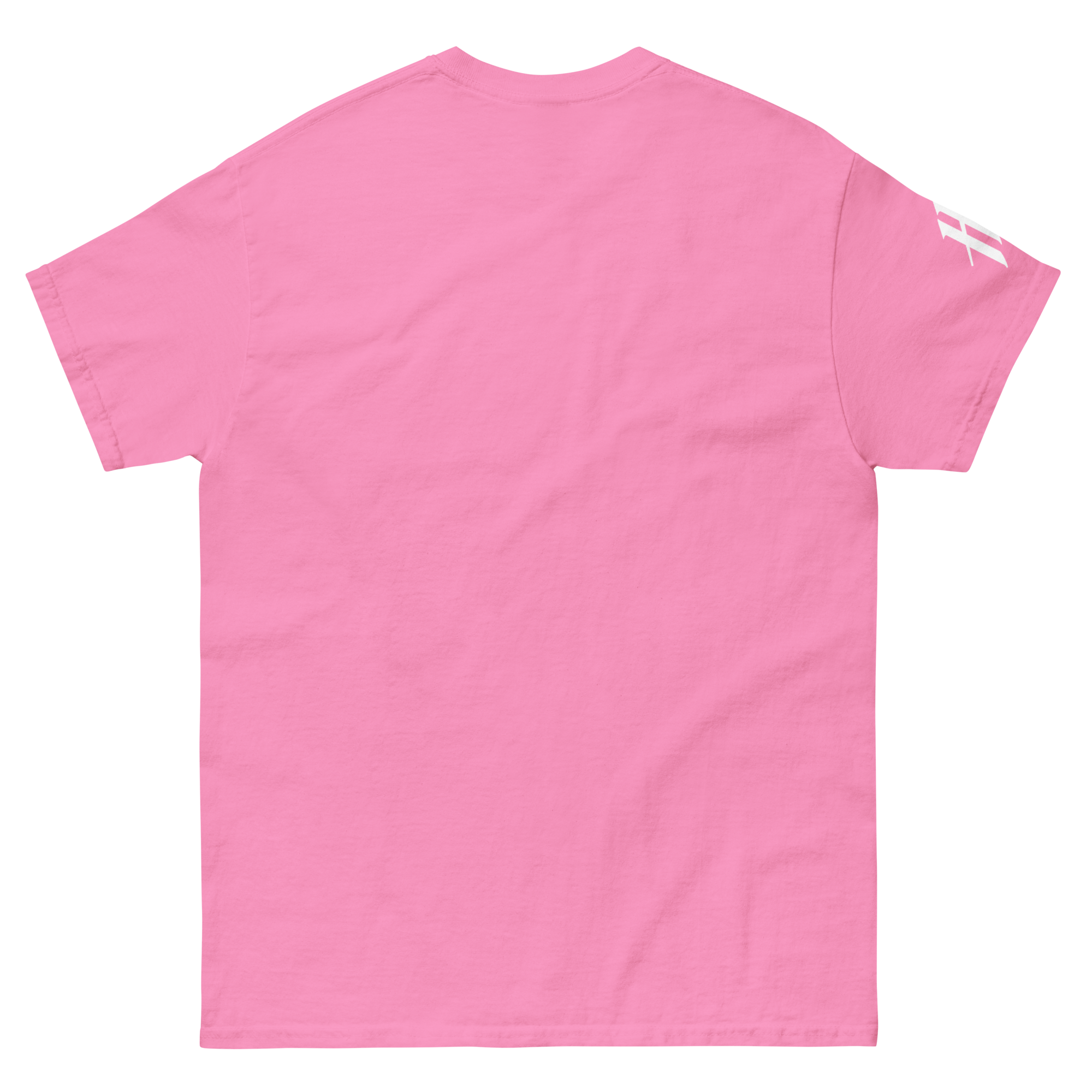 unisex-classic-tee-azalea-back-66bd0e9e43f44.png