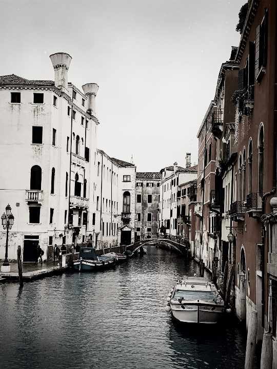 Venice 1