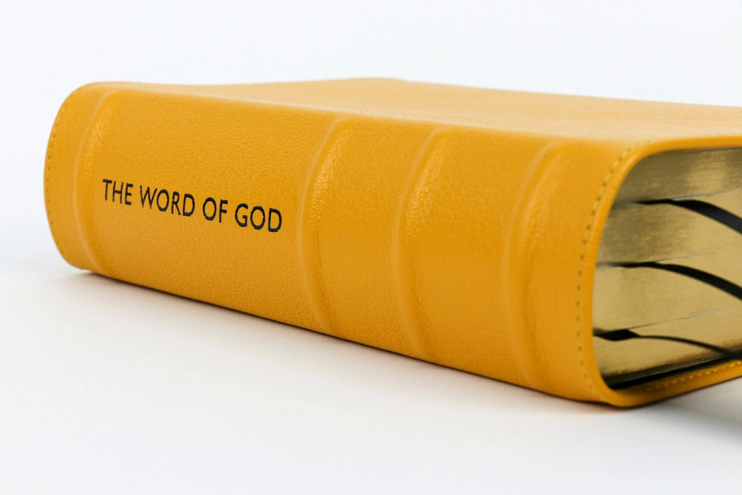Don’t Run from Leviticus’ Unparalleled Value: All (7) Feasts Show us the Christ