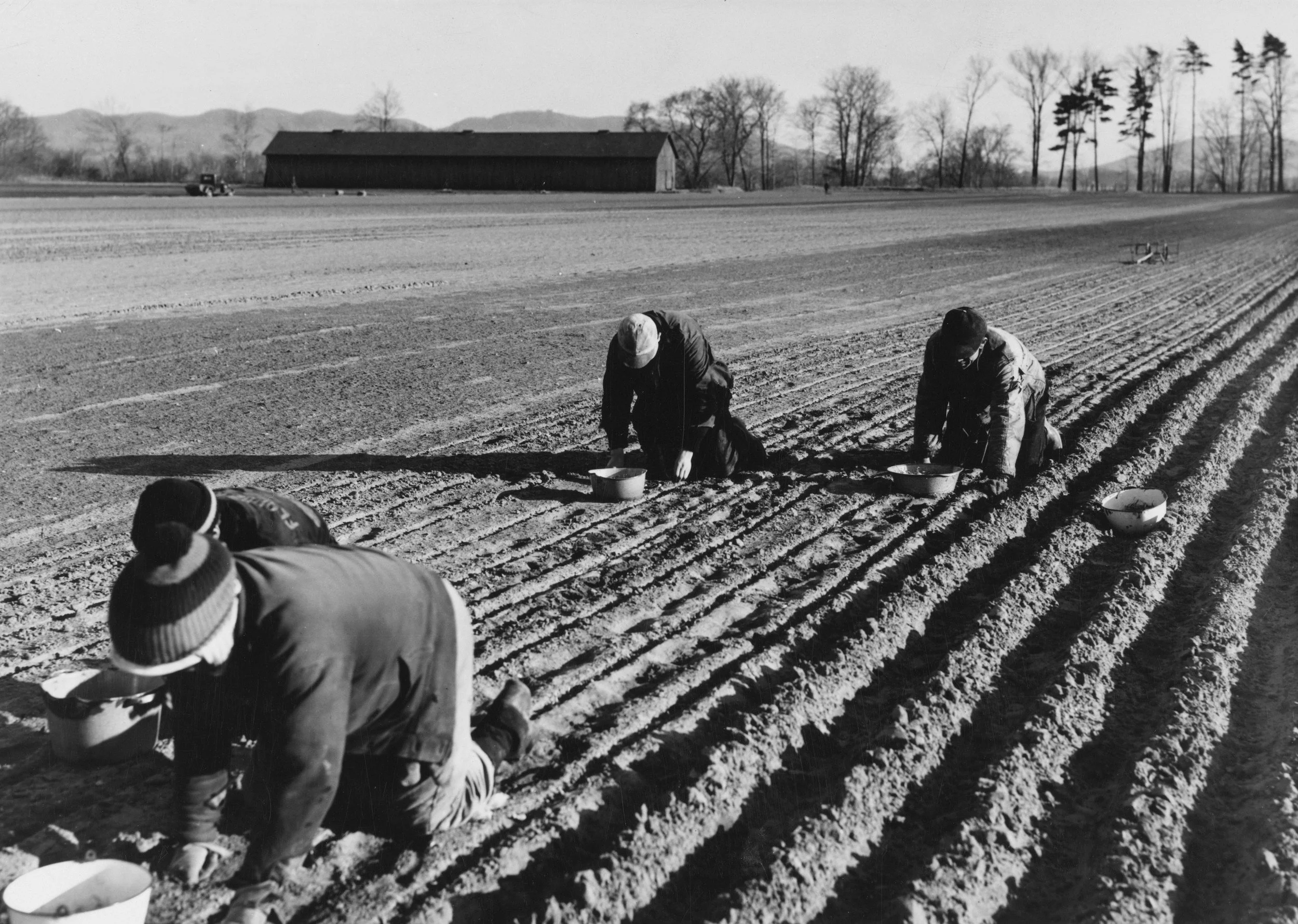 Sowing “GOD’s Seed and (reaping from It)