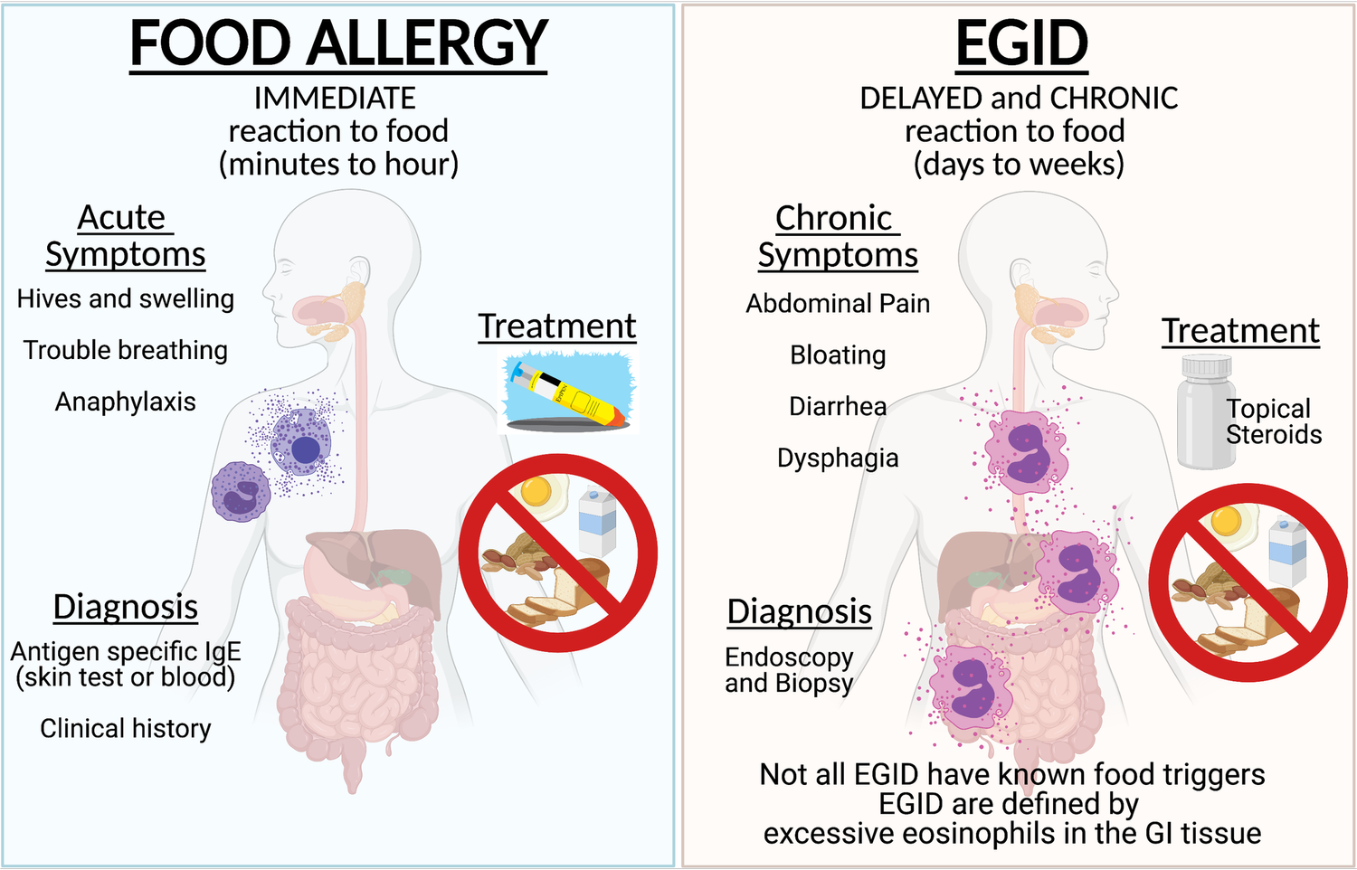 About 1 — Kuang Allergy Research Lab