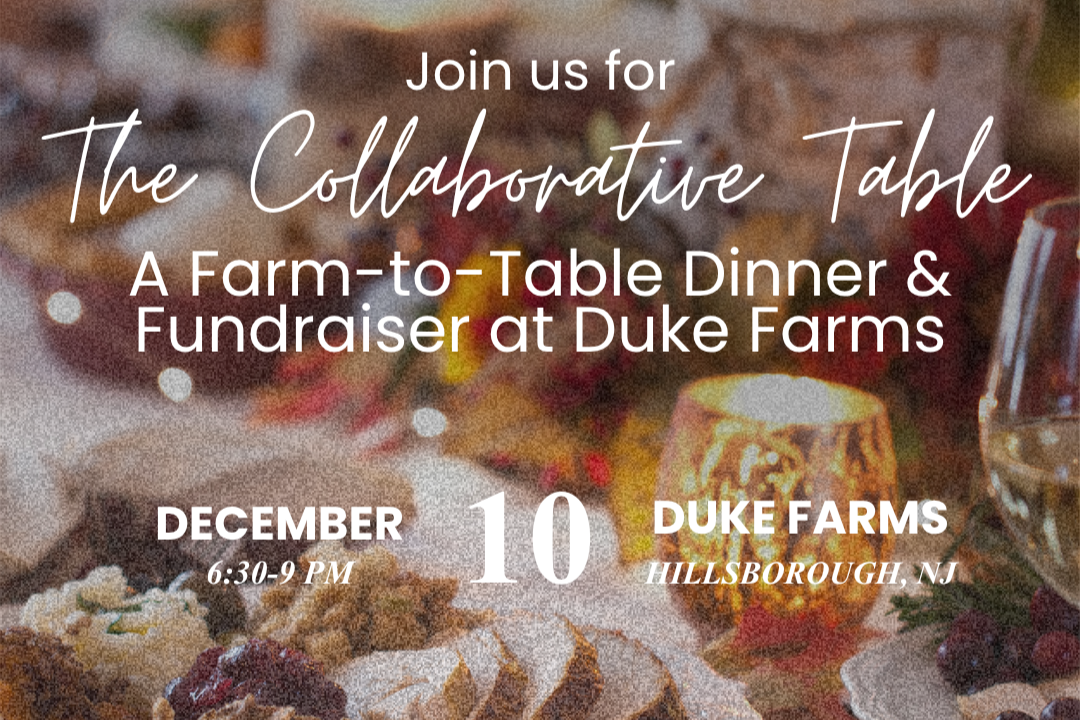 The Collaborative Table