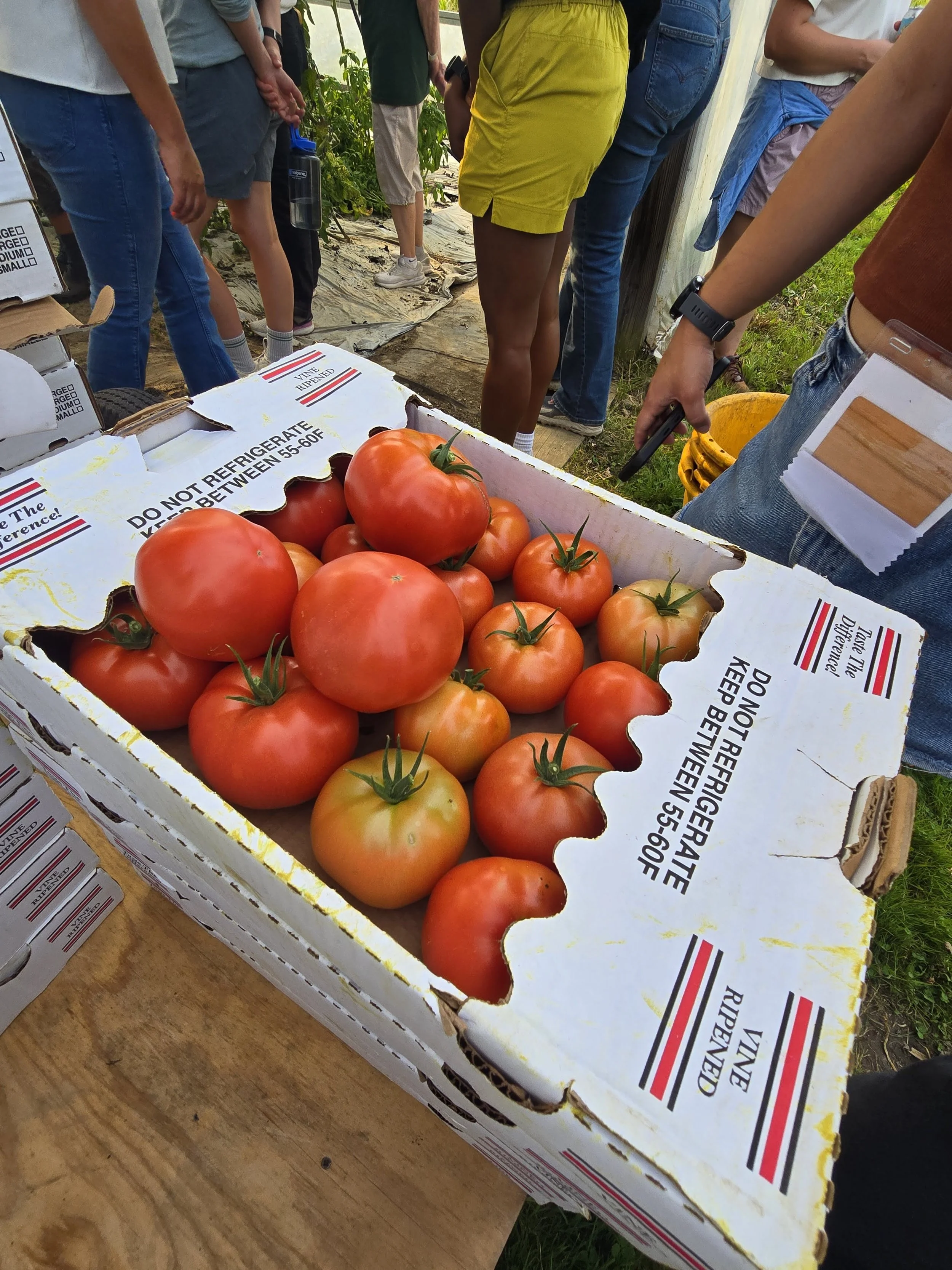 New Jersey FY2027 Budget Analysis: What the State Budget Means for Our Food System