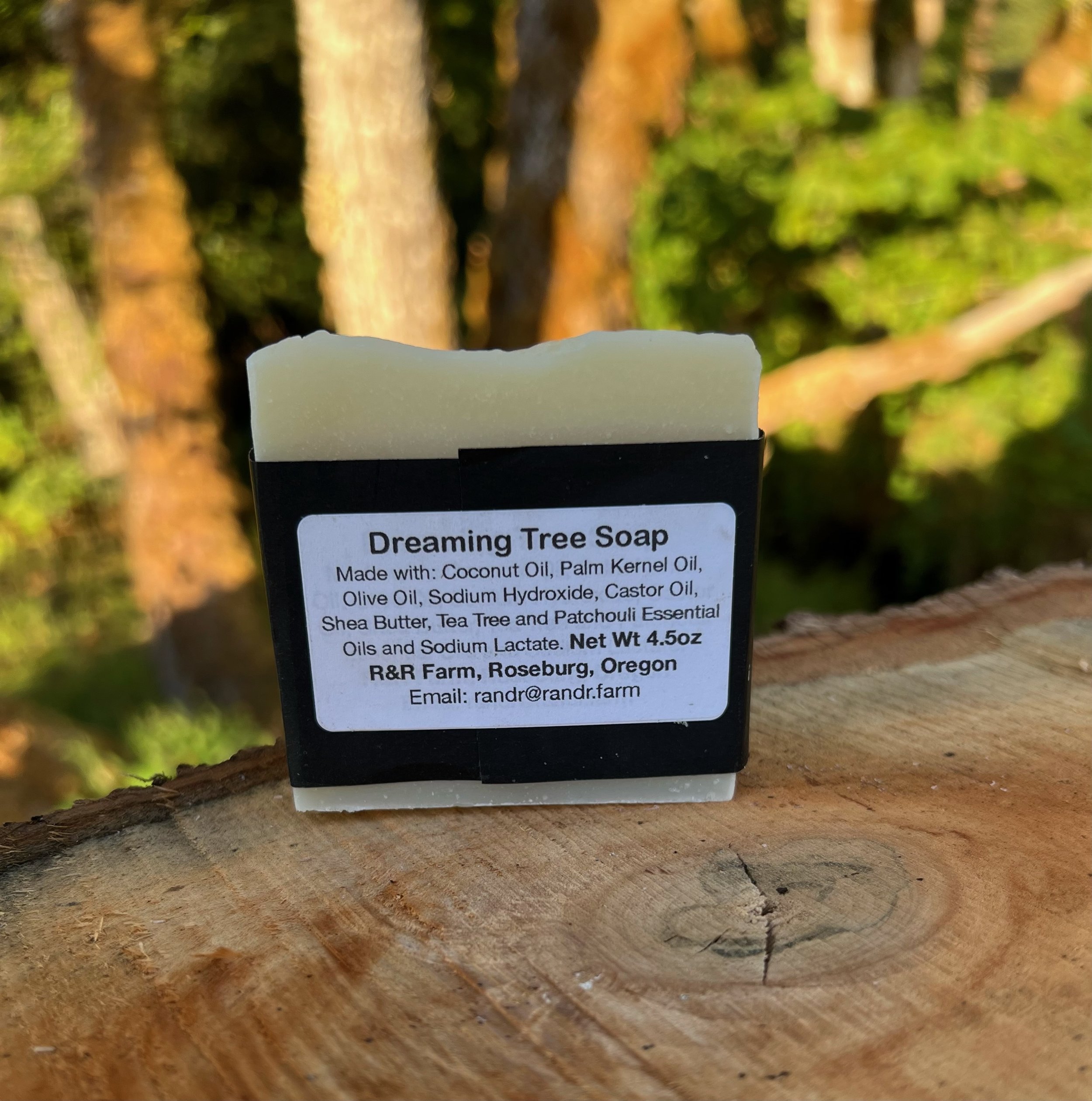 Dreaming Tree.jpeg
