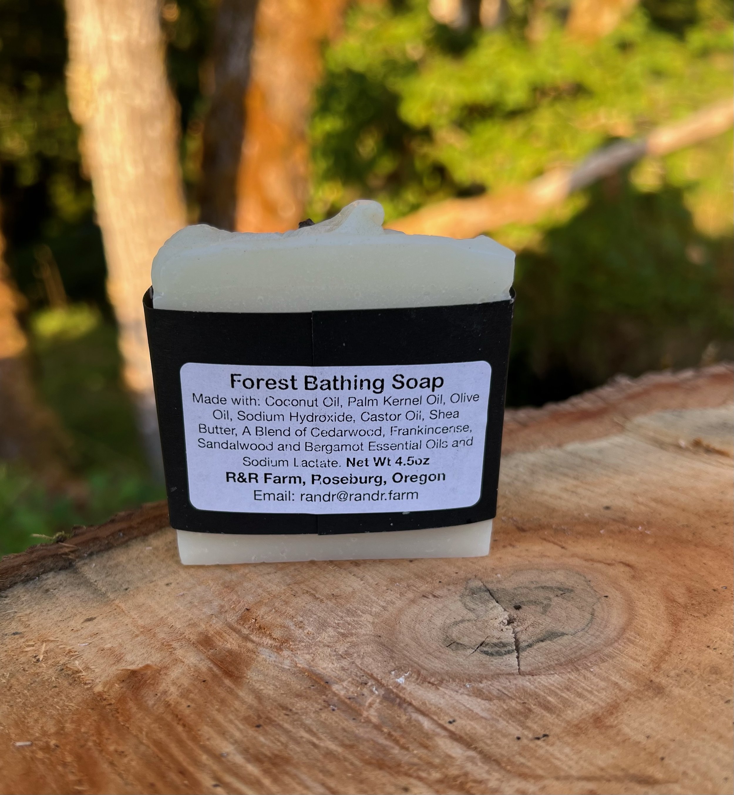Forest Bathing.jpeg