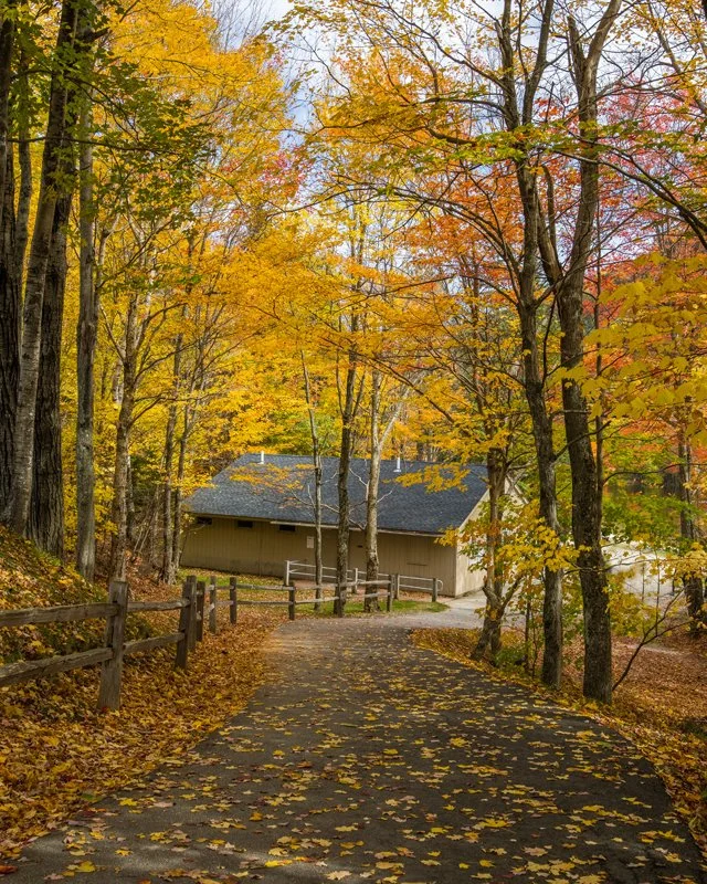 347A6158 rough clone 2.jpg