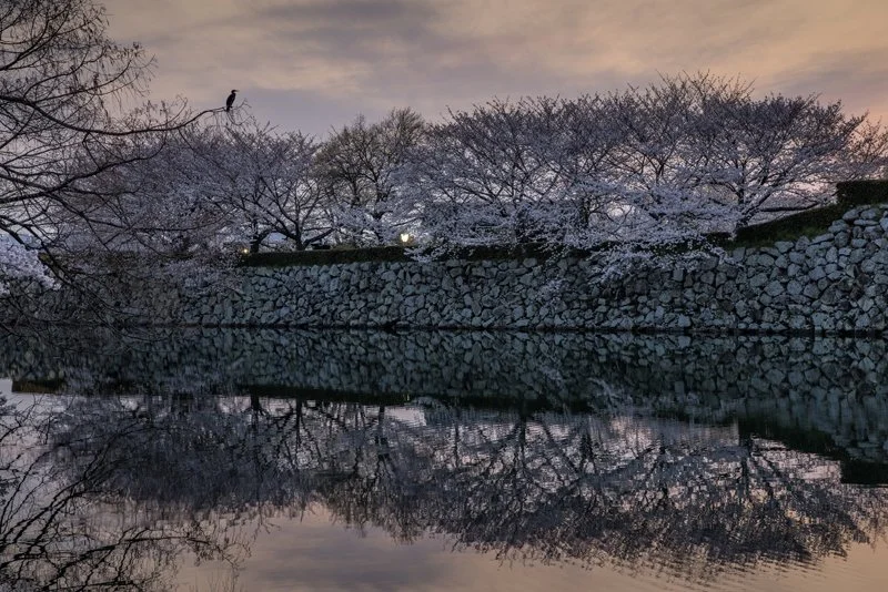 347A5618 crop gradient.jpg