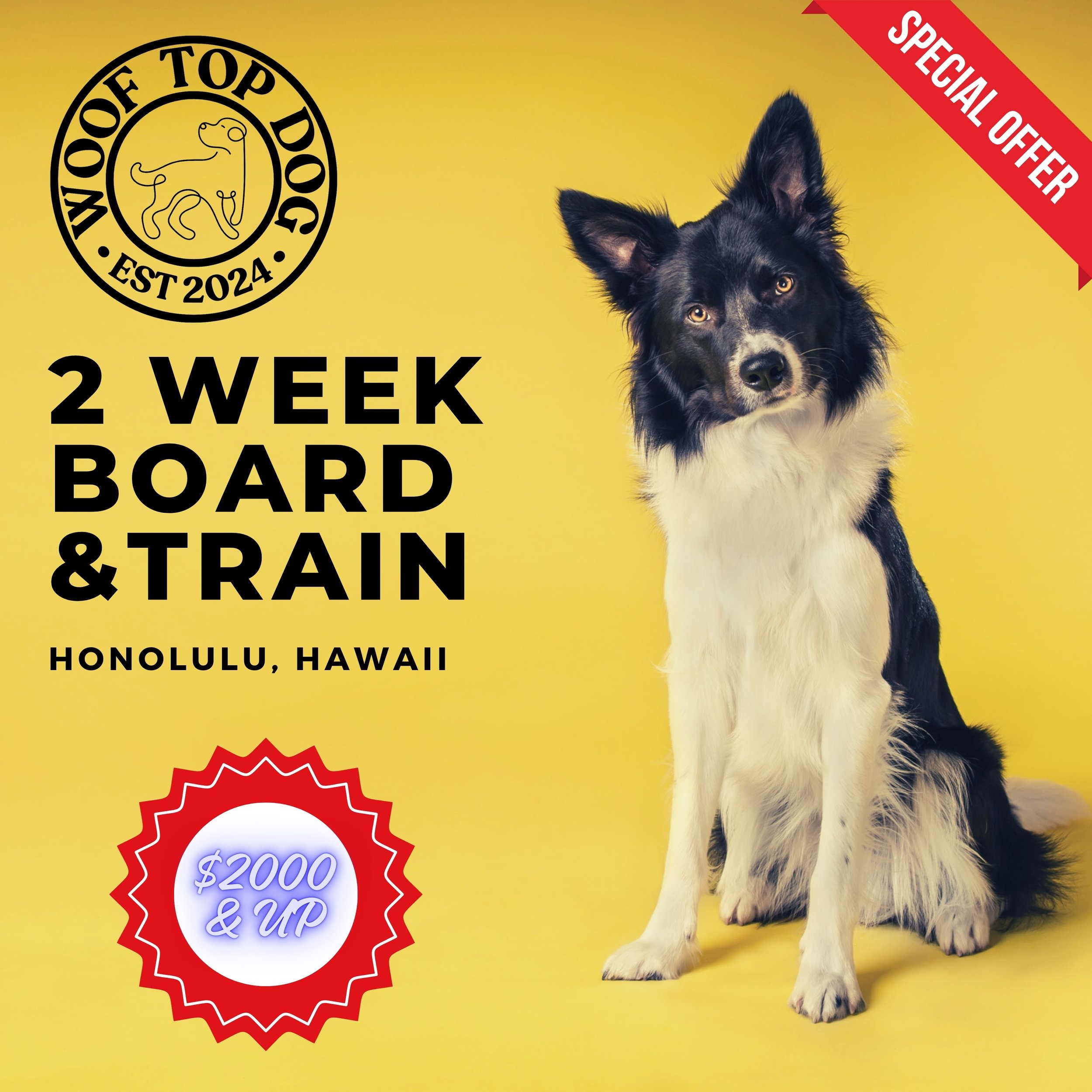 2 Week BoARD &TRAIN.jpg