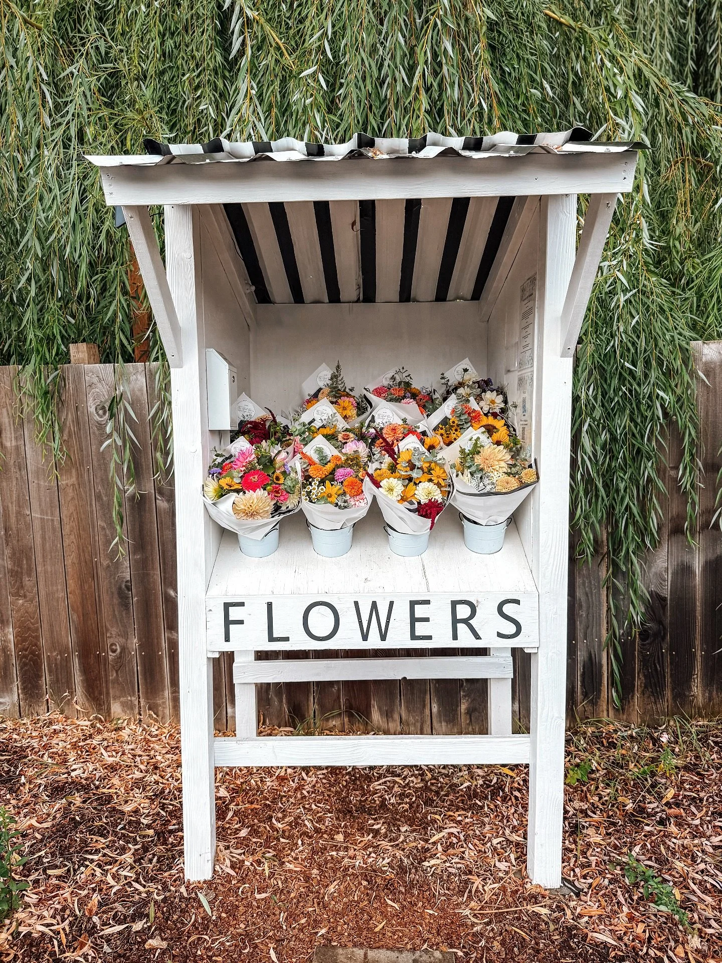 ✨ Fresh from the farm to the stand ✨
Our little march&eacute; de fleurs is brimming with bouquets, ready to brighten your weekend. Pick one up and let a bit of countryside romance follow you home.

Merci for supporting local flowers 🌸

#flowerfarm #