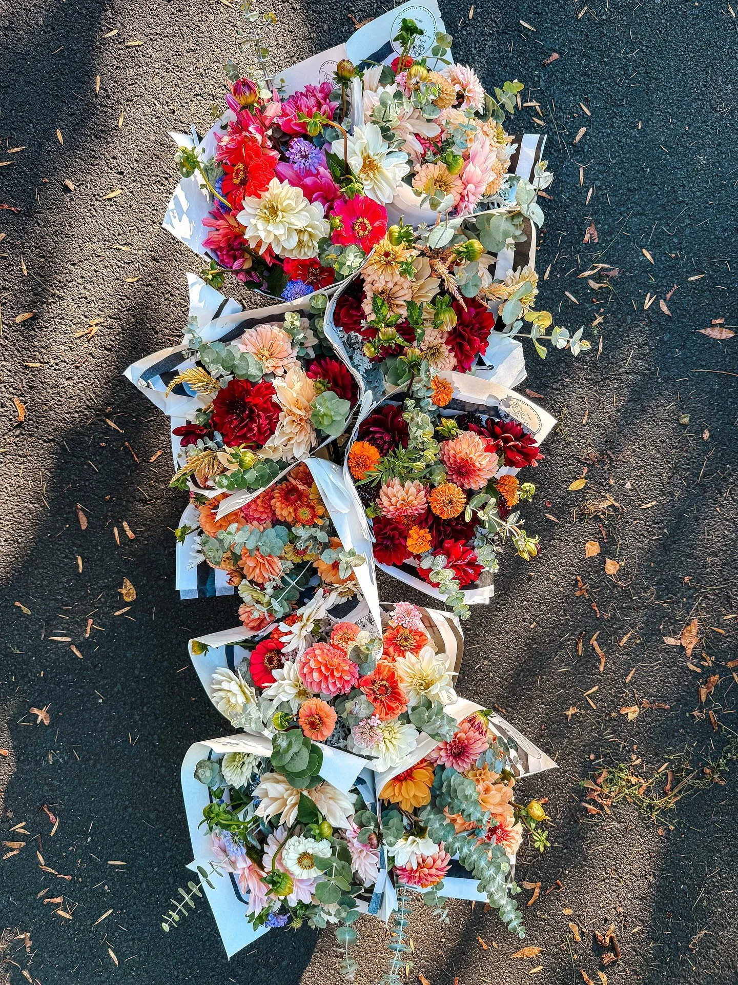 The last blooms of the season are here. This weekend will be the final chance to bring home fresh flowers from the farm before the fields rest for winter. Each bouquet is a little celebration of all the colors, textures, and joy this growing season g