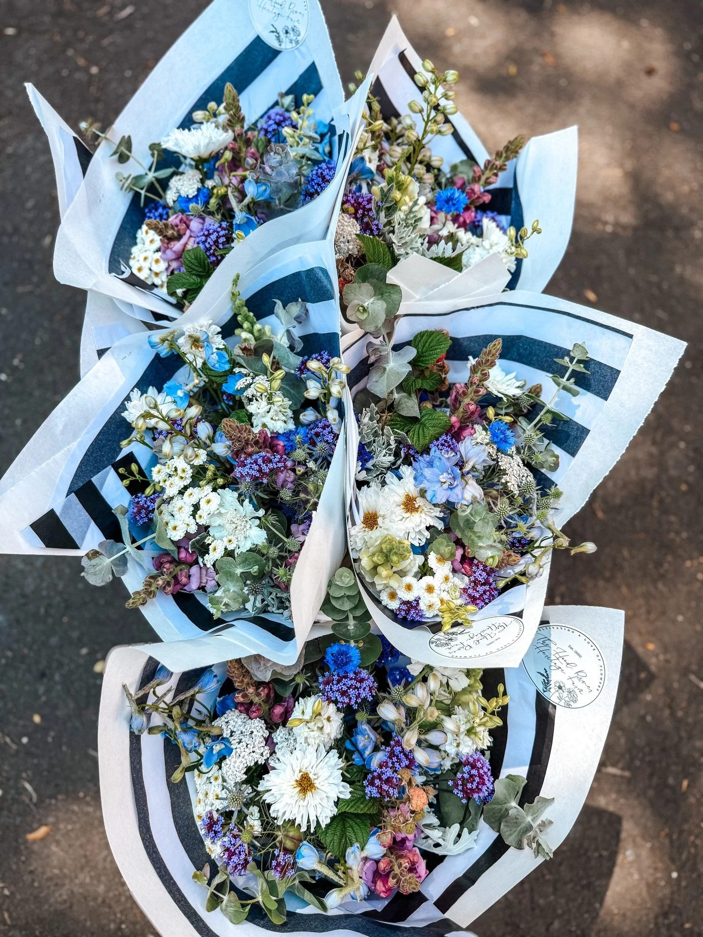 ✨ 2026 Flower CSA is officially OPEN ✨

Our 2026 seasonal flower subscriptions are now available for purchase.

Think locally grown, garden-style bouquets, harvested fresh and wrapped with care each week.

CSA members get first dibs on our best bloom