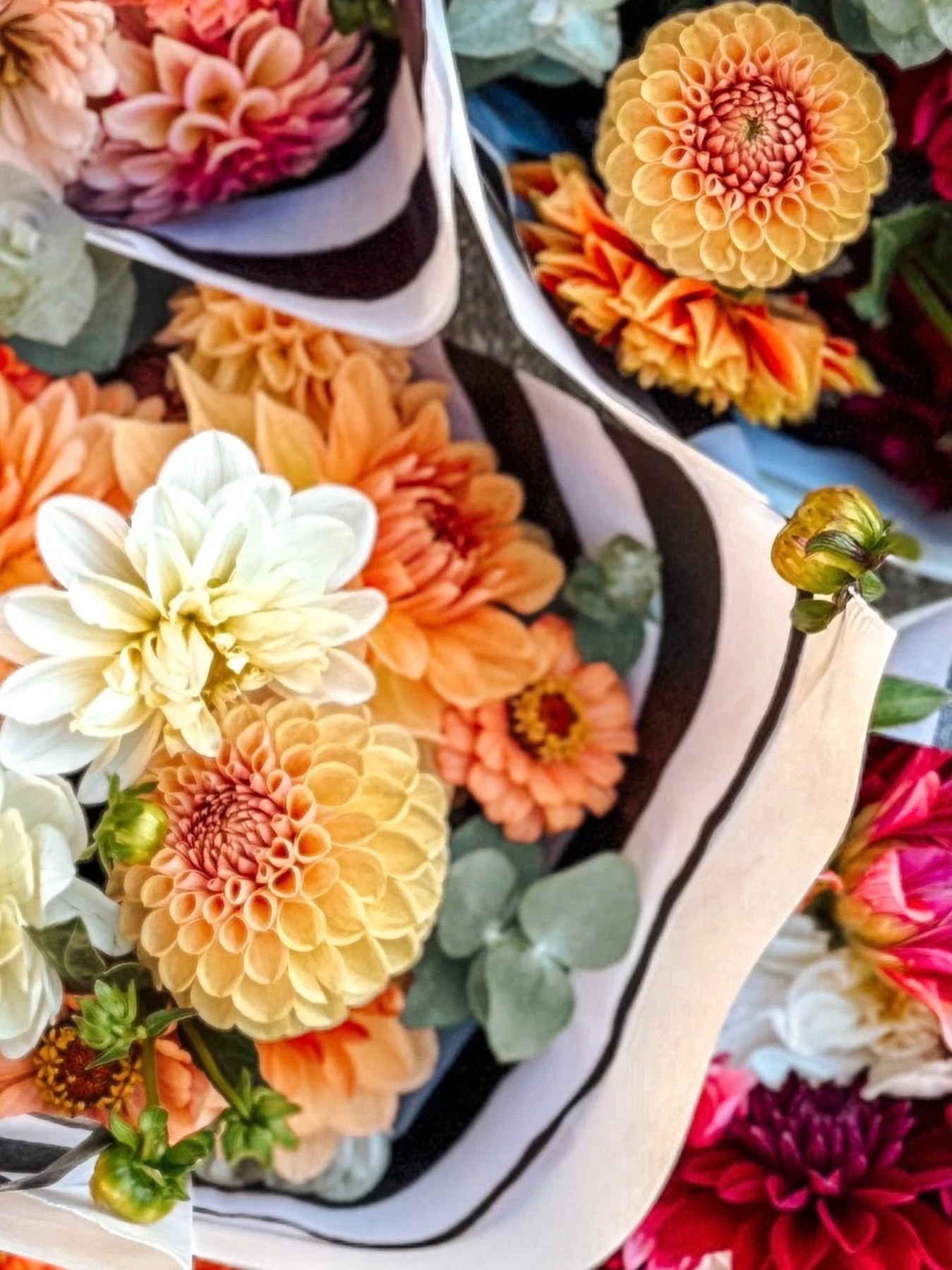 Counting down to the upcoming growing season. New varieties, familiar favorites, and all the magic that comes with watching it unfold 🌸✨

#flowerseason #seasonalblooms #slowflowers #localflowers #hoodriver