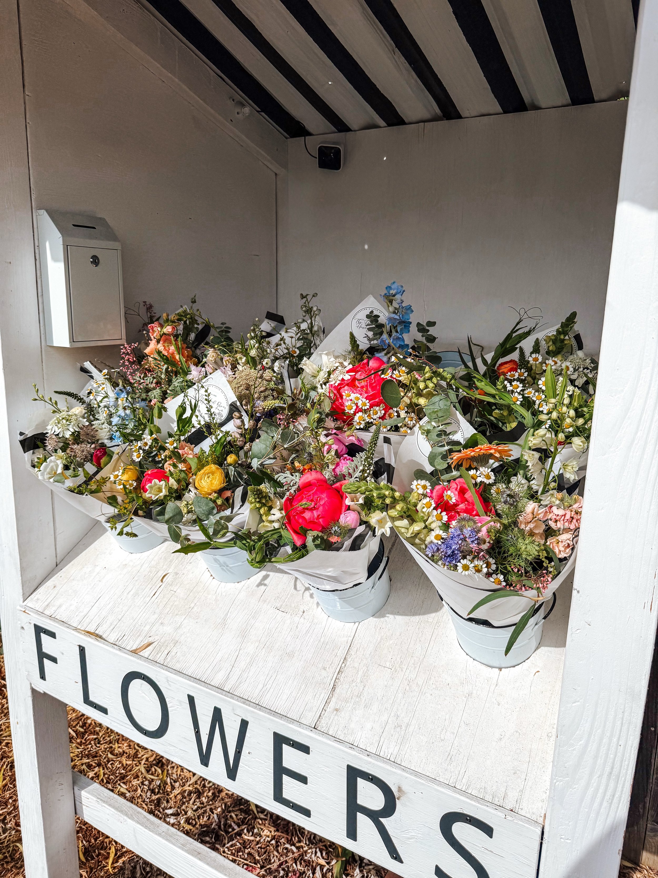 Sold out for Mother&rsquo;s Day weekend. 🤍

Thank you, truly, for showing up for this small flower farm in such a big way. Every bouquet that left the stand this weekend supported local agriculture, seasonal flowers, and a small business built right