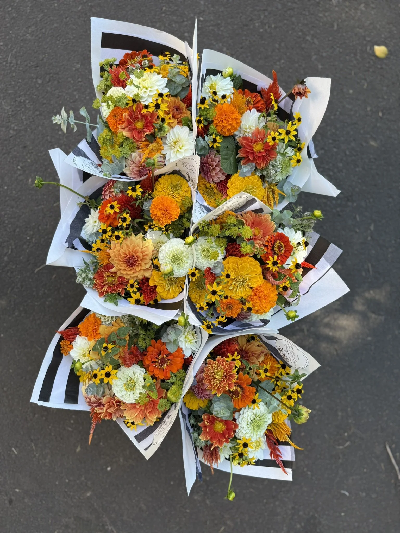 2026 August Weekly CSA