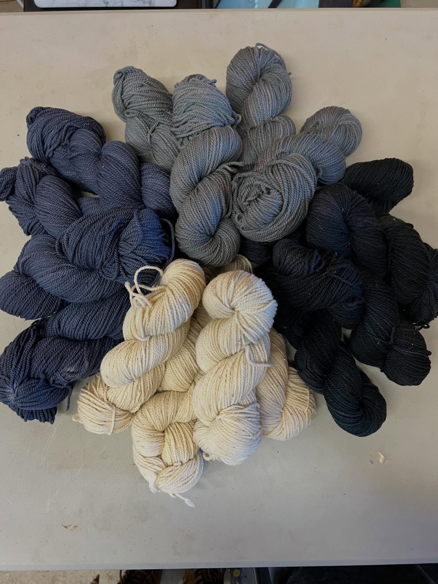 YARN!  Shout out to @auroraspinnery for processing Sajima Farm&rsquo;s 1st batch of 100% Merino. 4oz DK skeins (230 yds). Stay tuned for retail deets. #merinowool #merinoyarn #knitknitknit