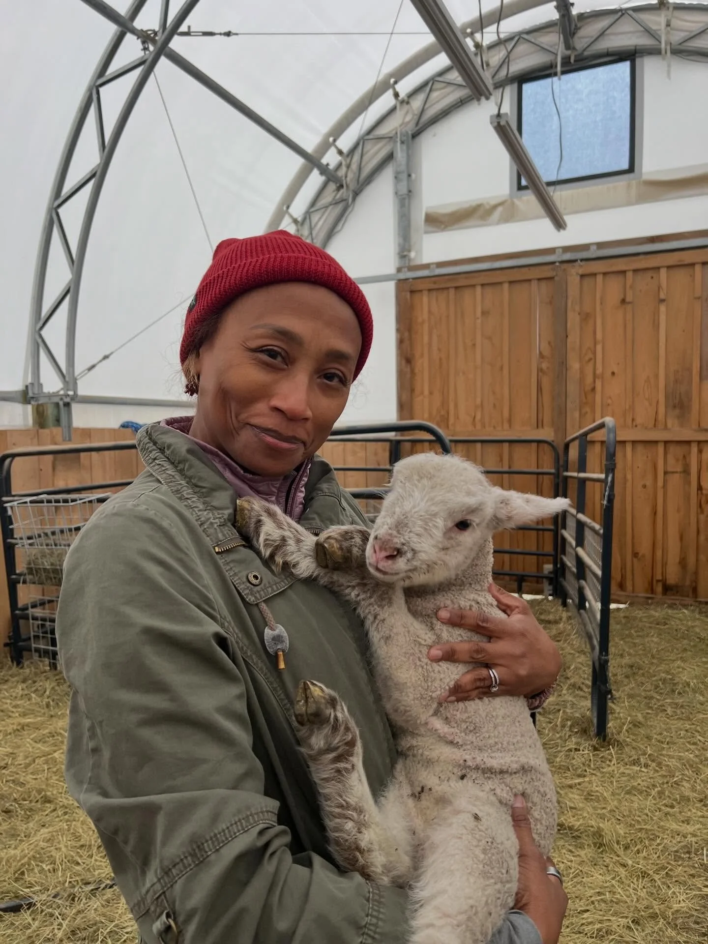 My dear friend, @reginasalathe visited from Tokyo with one of her twin sons. Here she is meeting one of my twins, Orlagh, a ewe lamb born two weeks ago. #merinosheep #lambingseason #sheepfarming