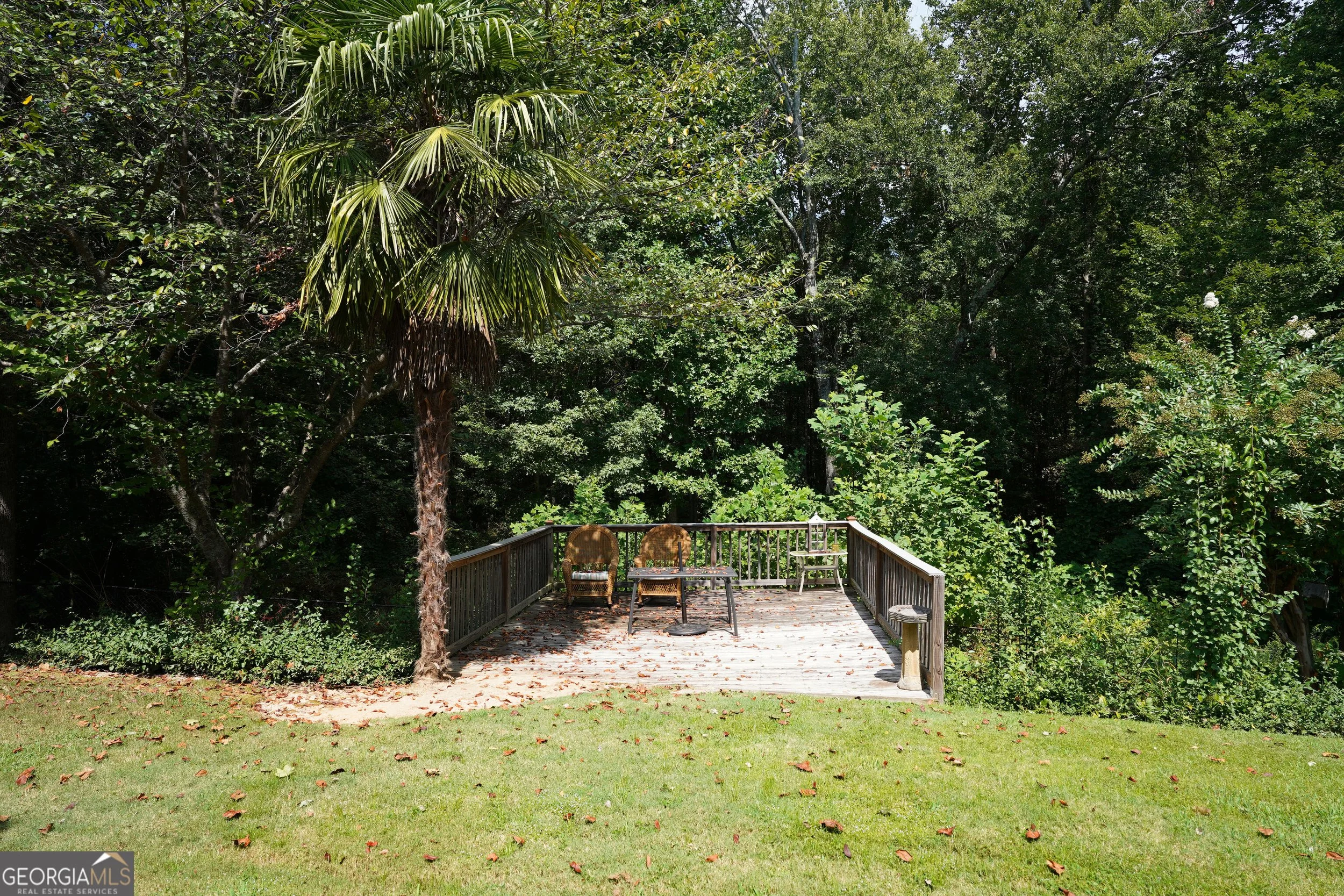 HD_1789579257189_BACKYARD3.jpg