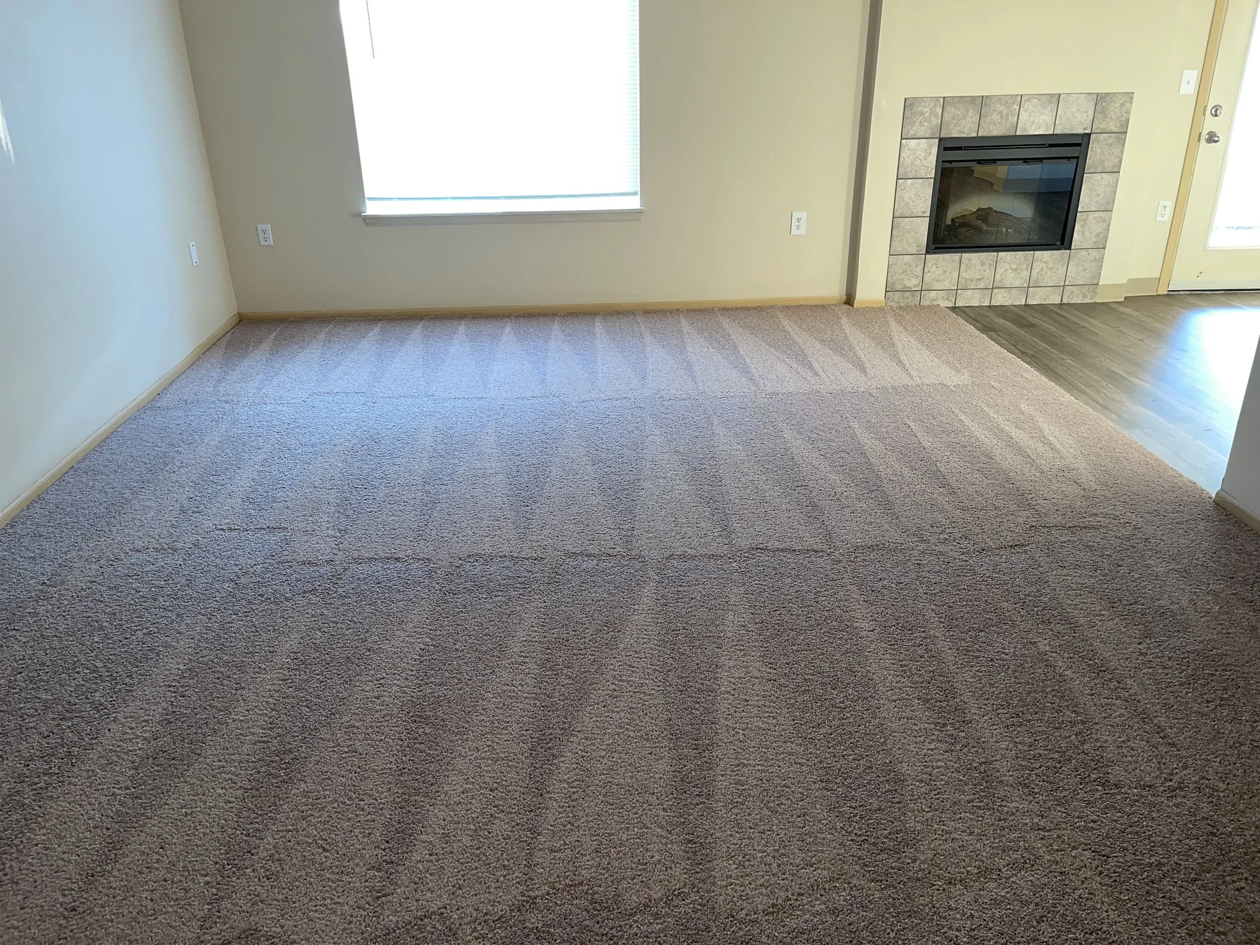 Carpet After Detailed Cleaning
Freshly cleaned carpet showing the finished results after detailed floor care throughout the room.