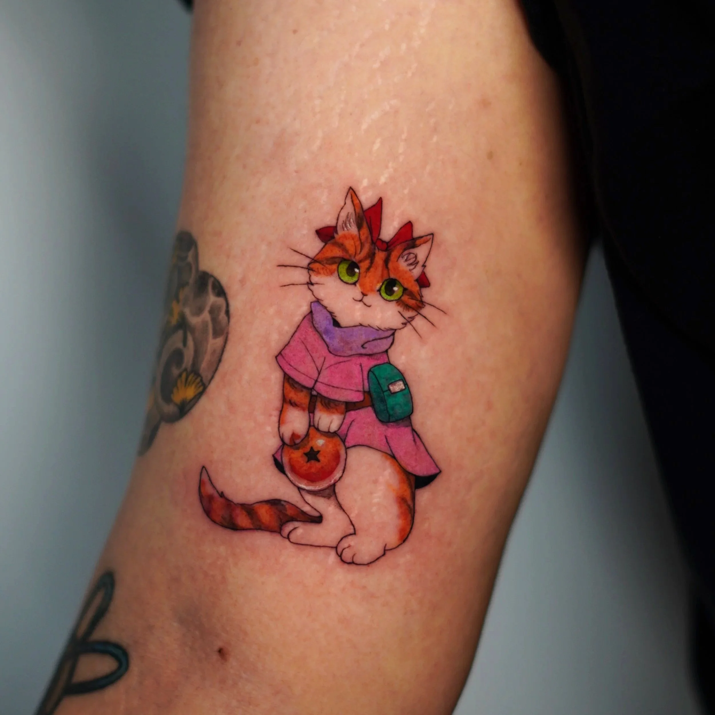 DSC03657.jpg